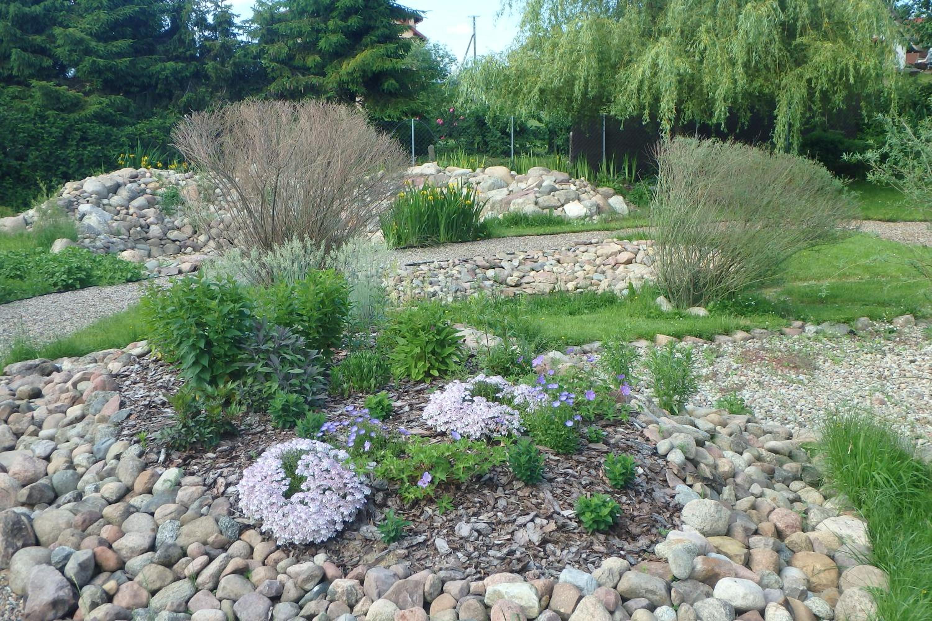 Photo 8