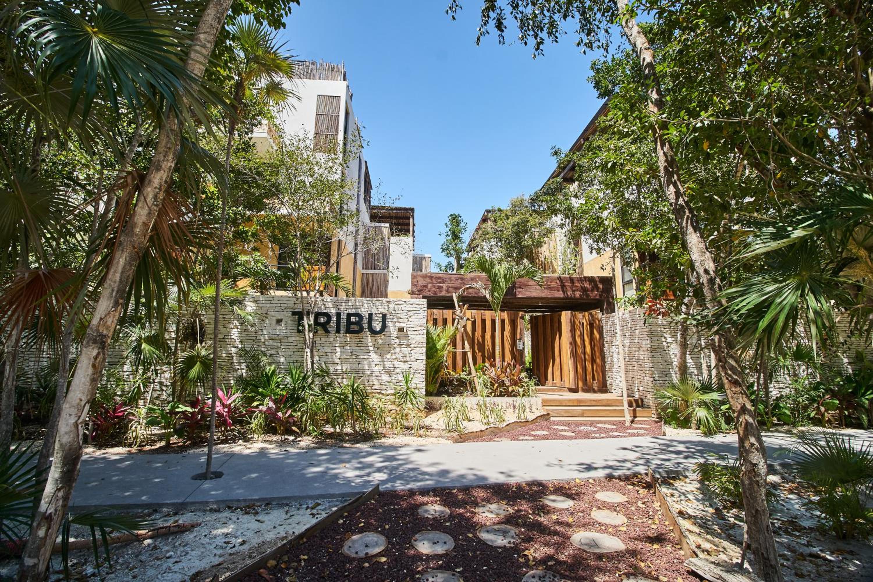 Casa Tribu Luum Zama view 2