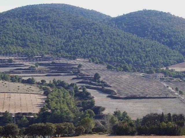 Casa Rural Masía Barbera view 5
