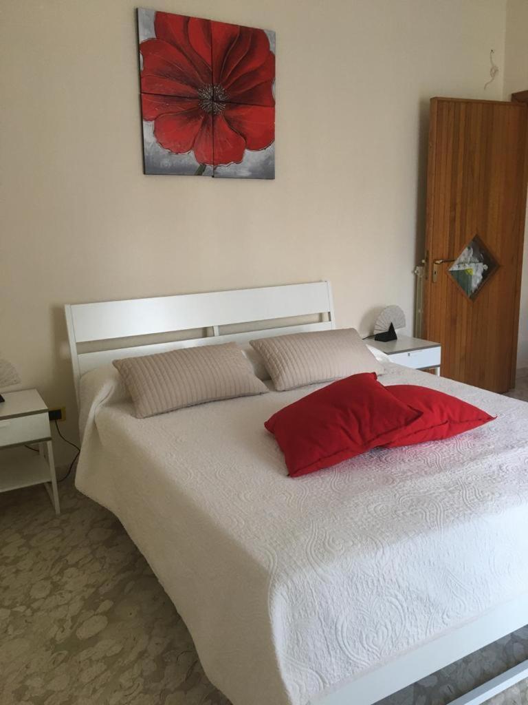 Paestum Rosae photo 3