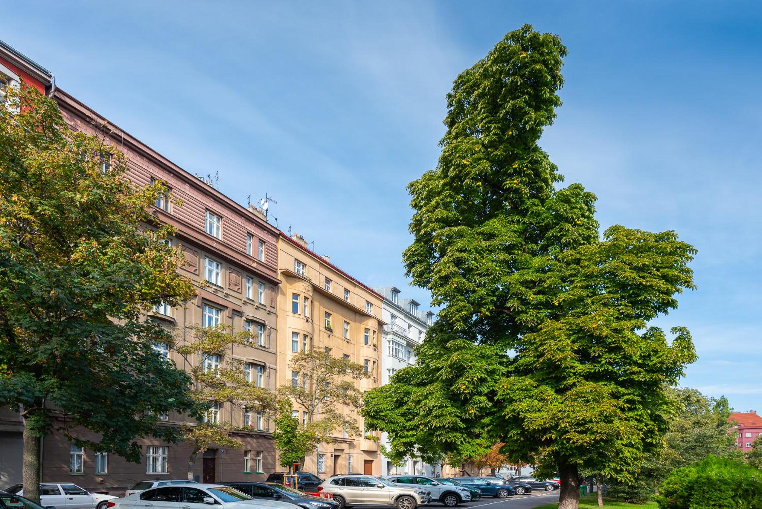 *SUNNY and STYLISH* Apt with BALCONY near TV Tower