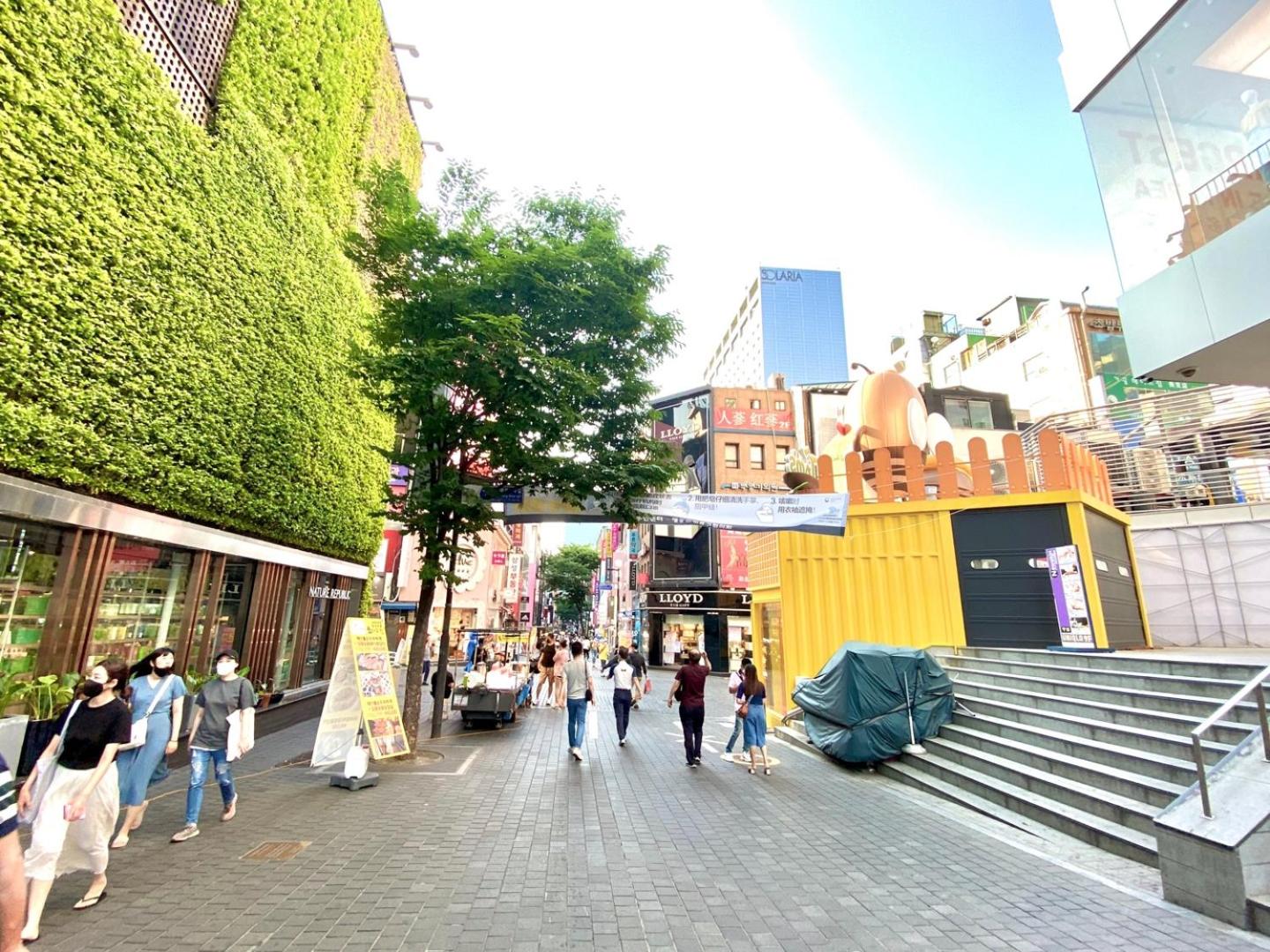 Namsan Forest in Myeongdong