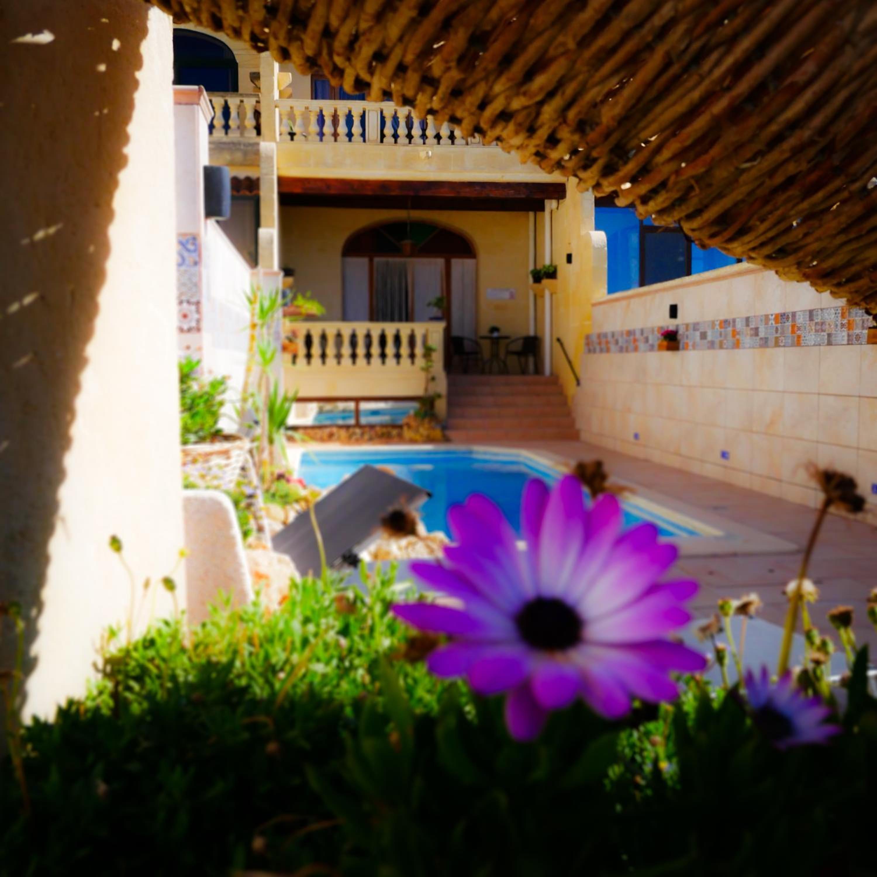 Narcisa Farmhouse B&B, photo 12