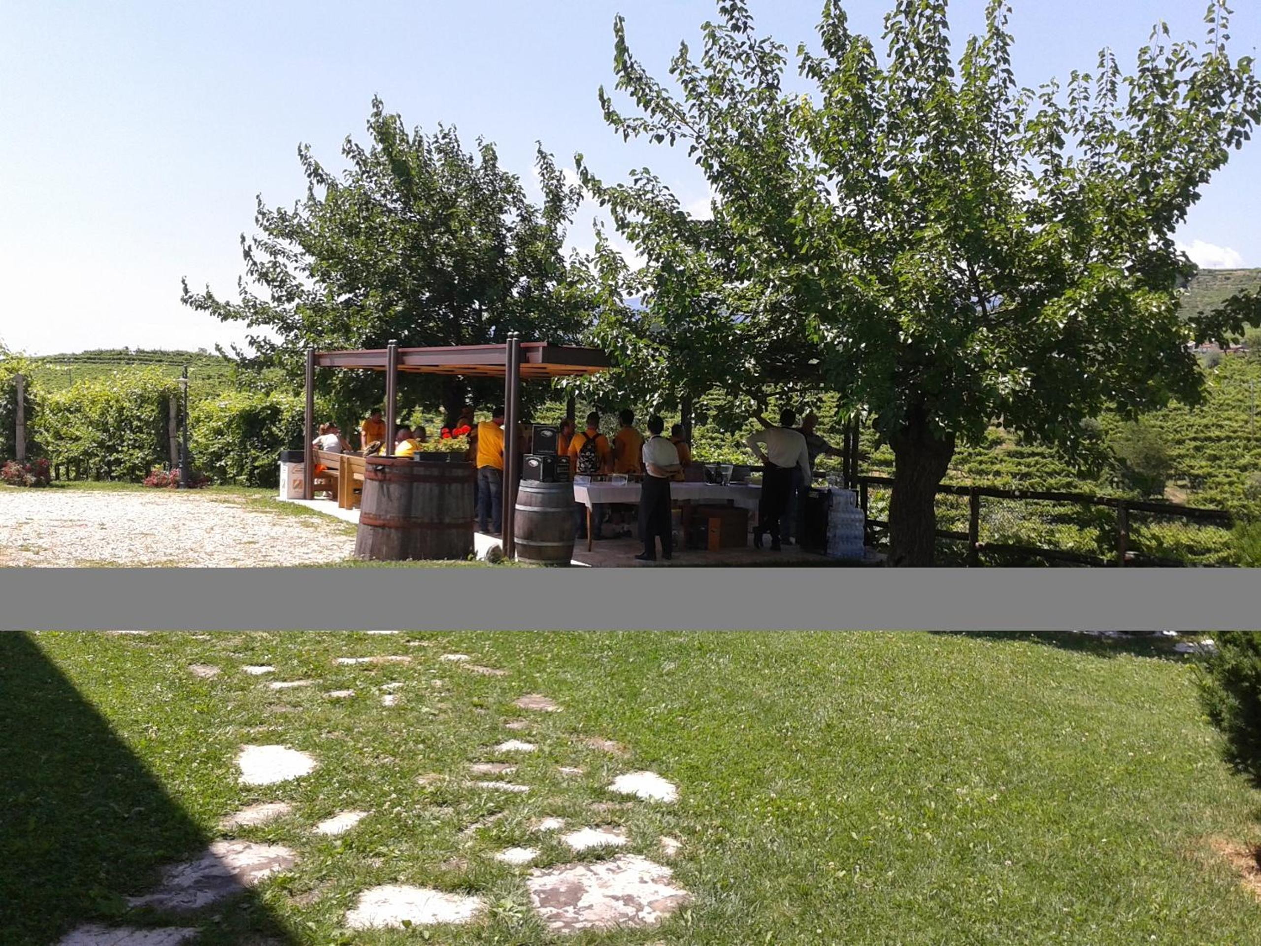 Photo 46
