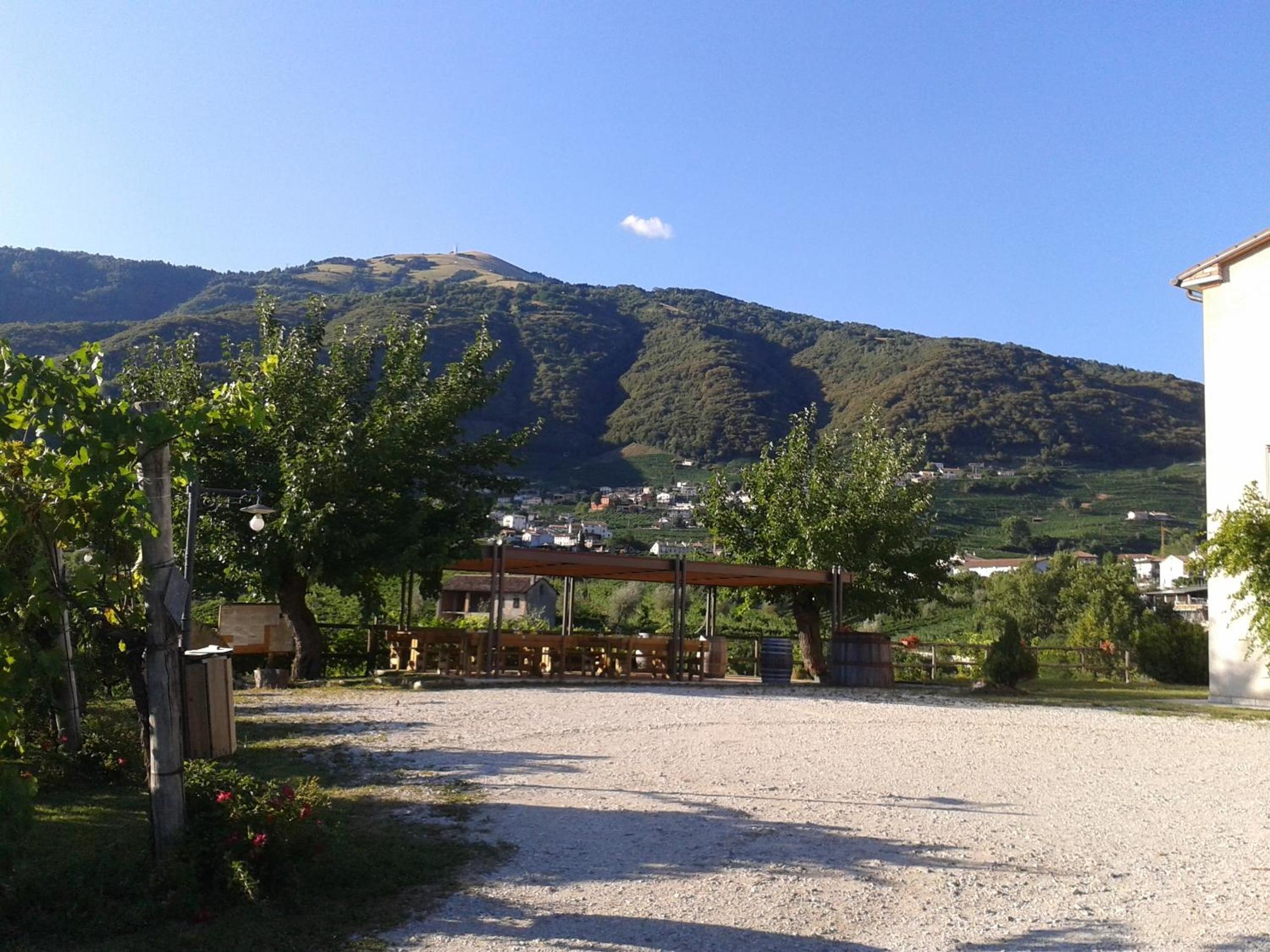 Photo 48