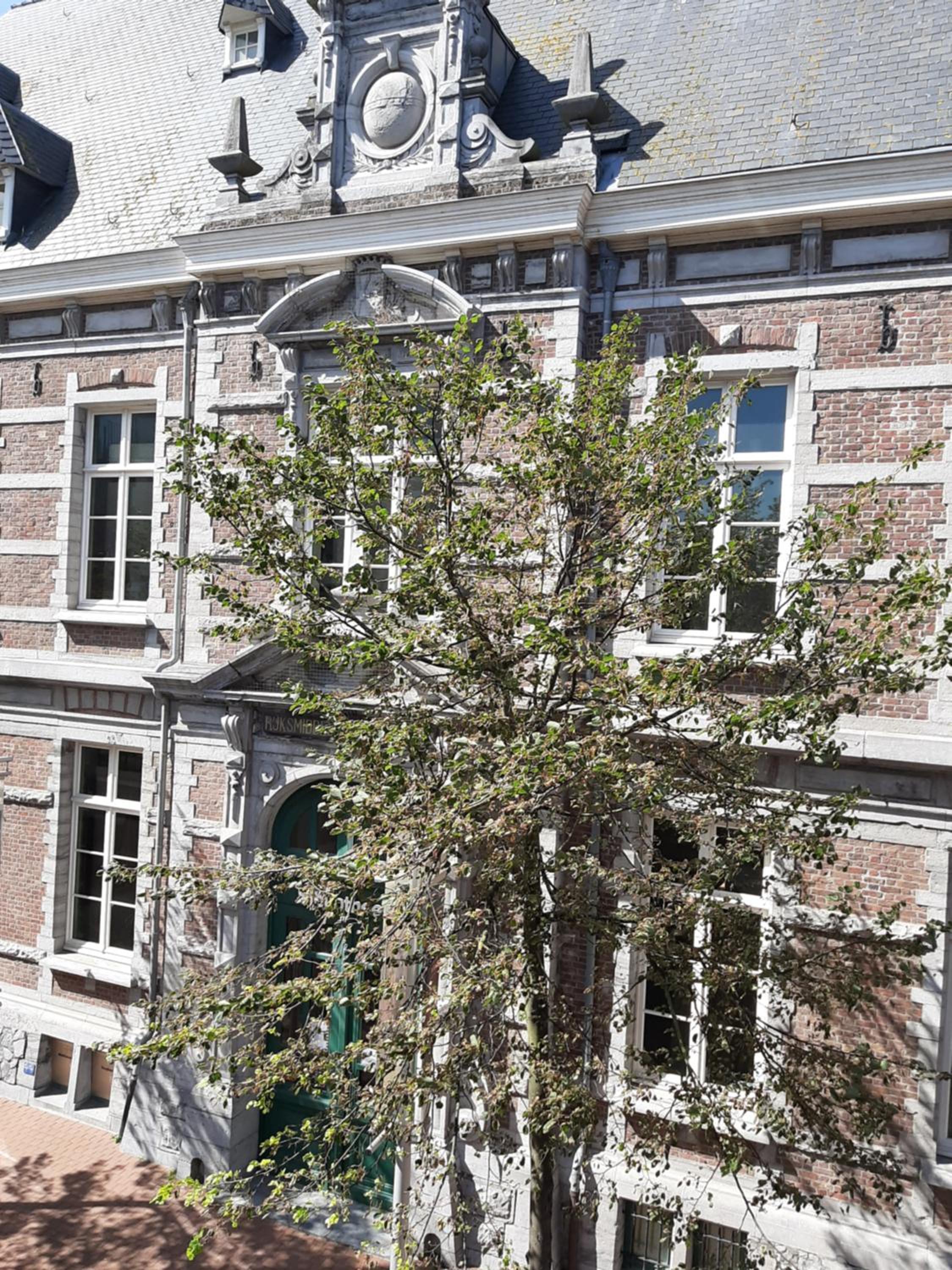 Vakantieappartement Belle Epoque Blankenberge view 4