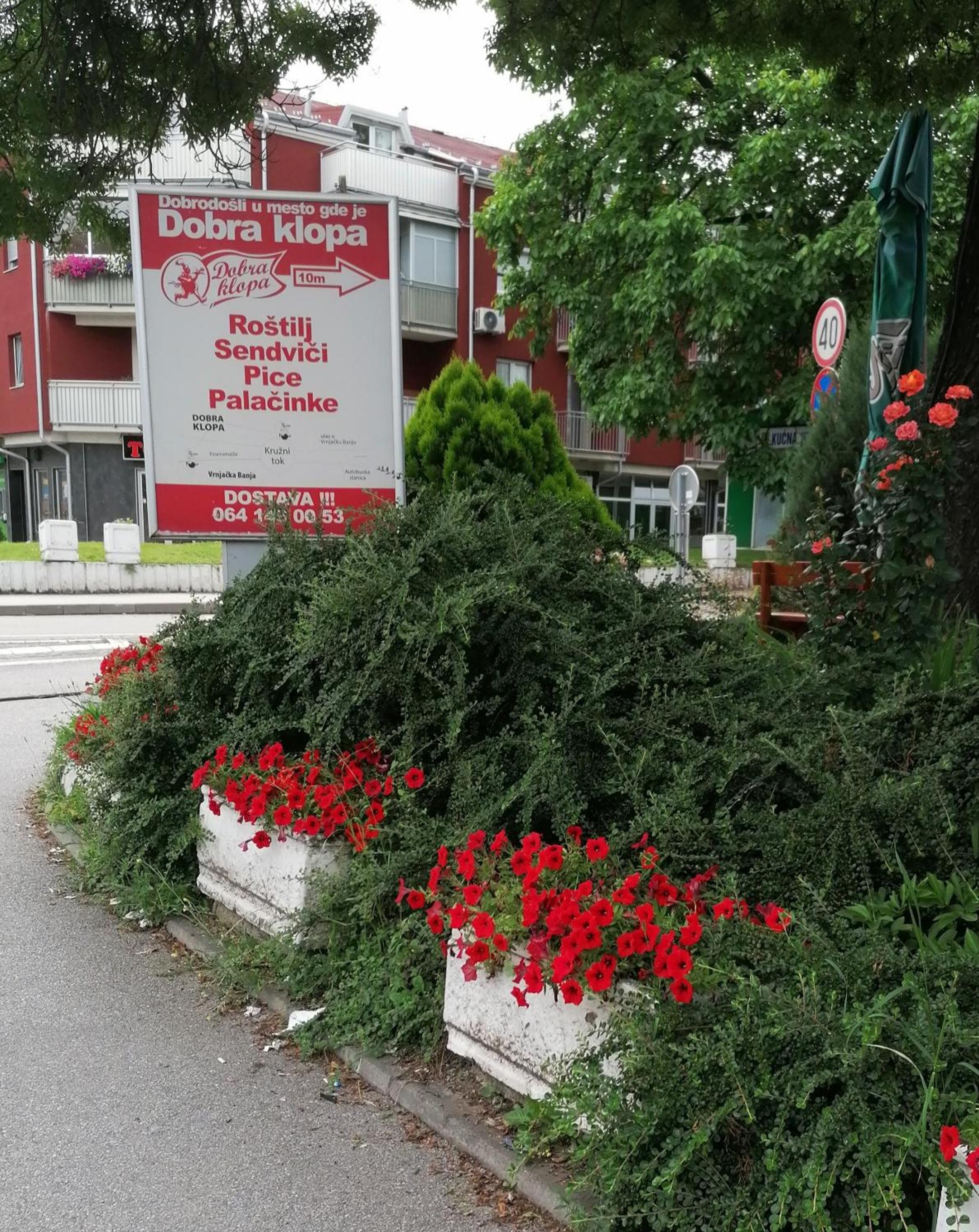 Photo 41