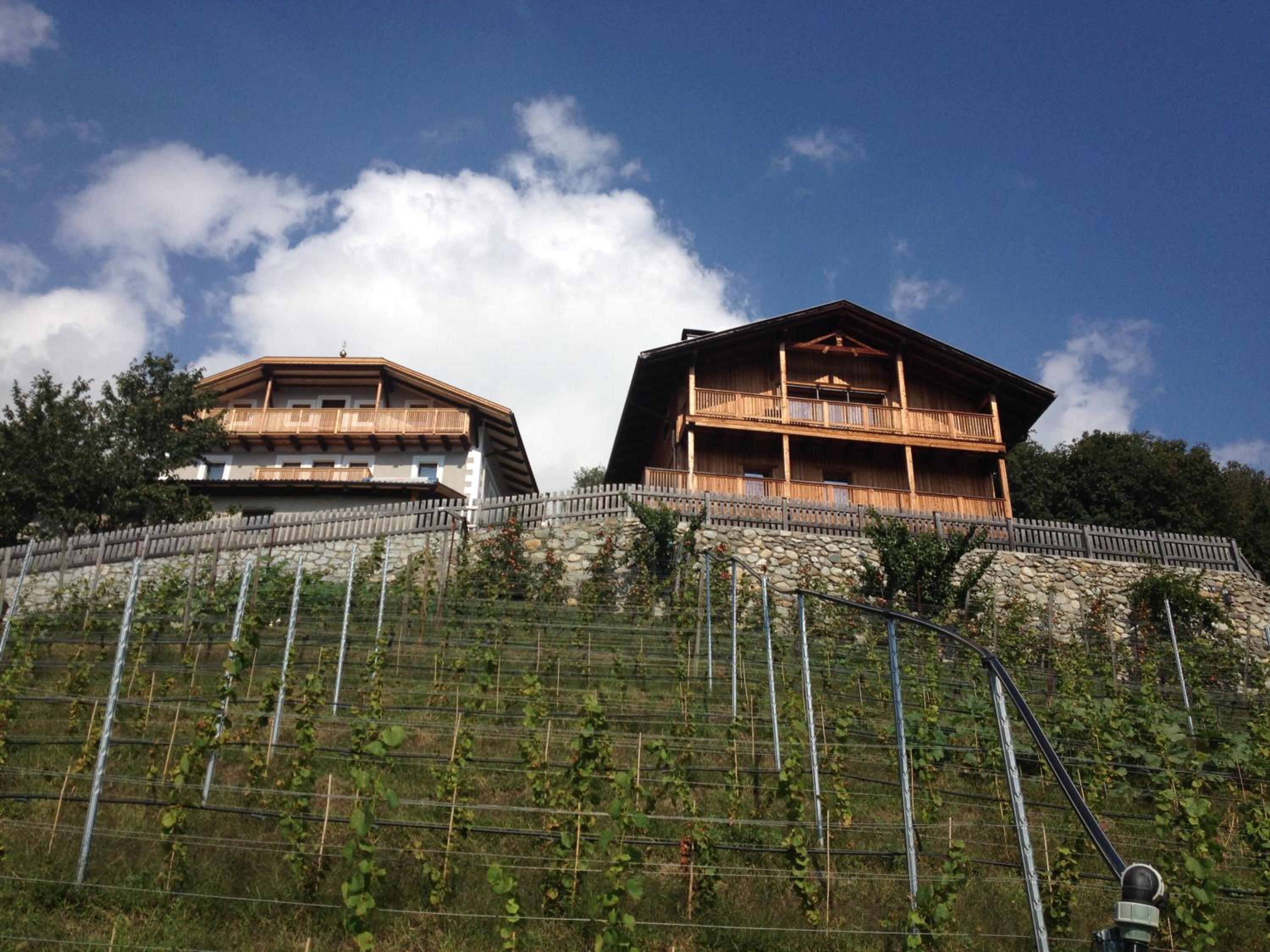 Maso Fallmerayer - Fallmerayerhof view 3
