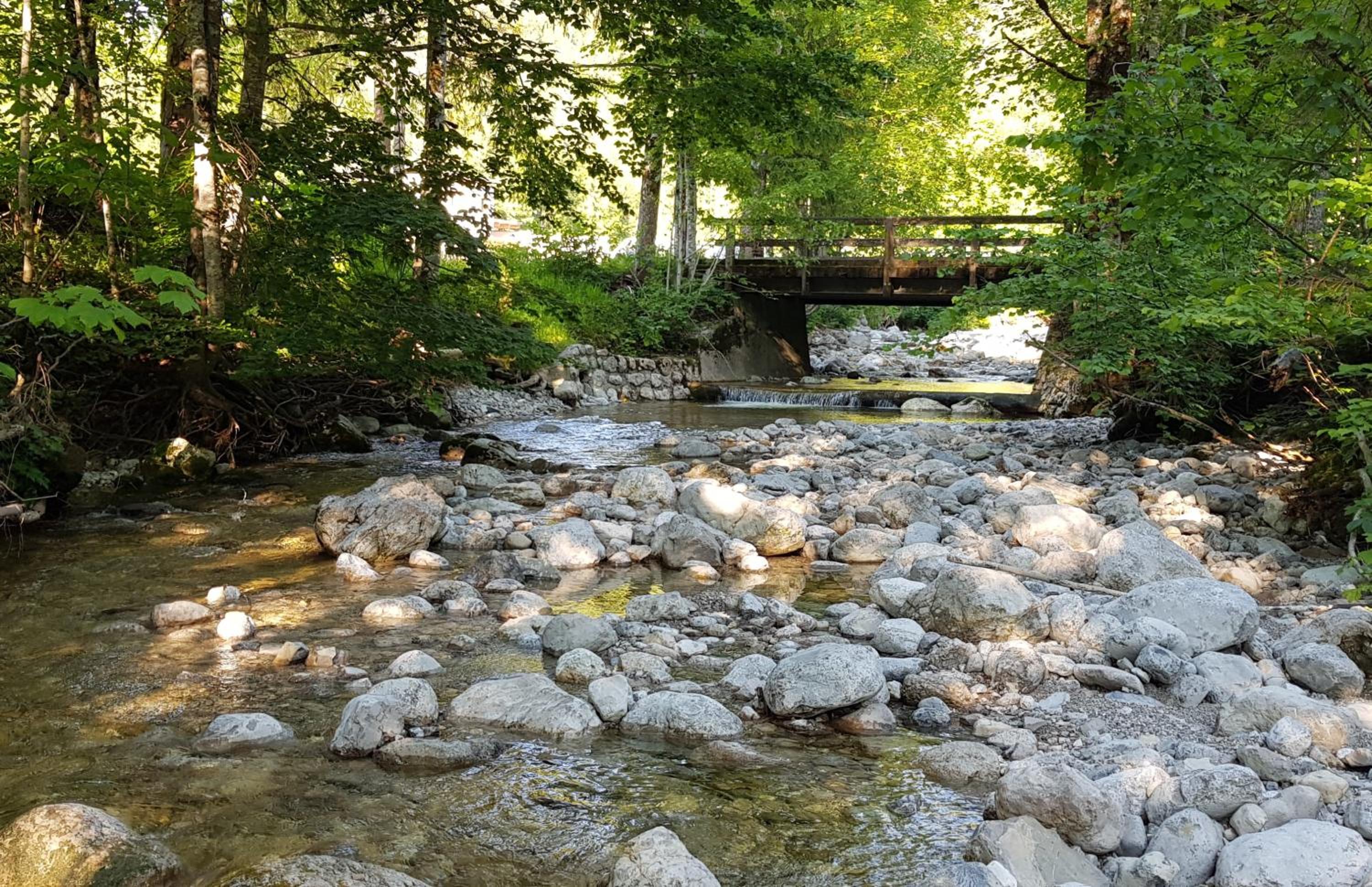 Photo 32