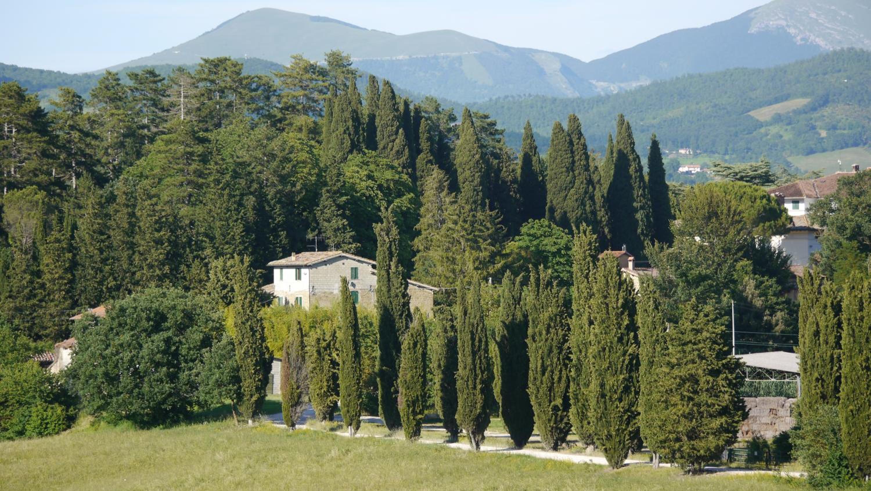Agriturismo Germogli I Tenuta di Fassia view 2