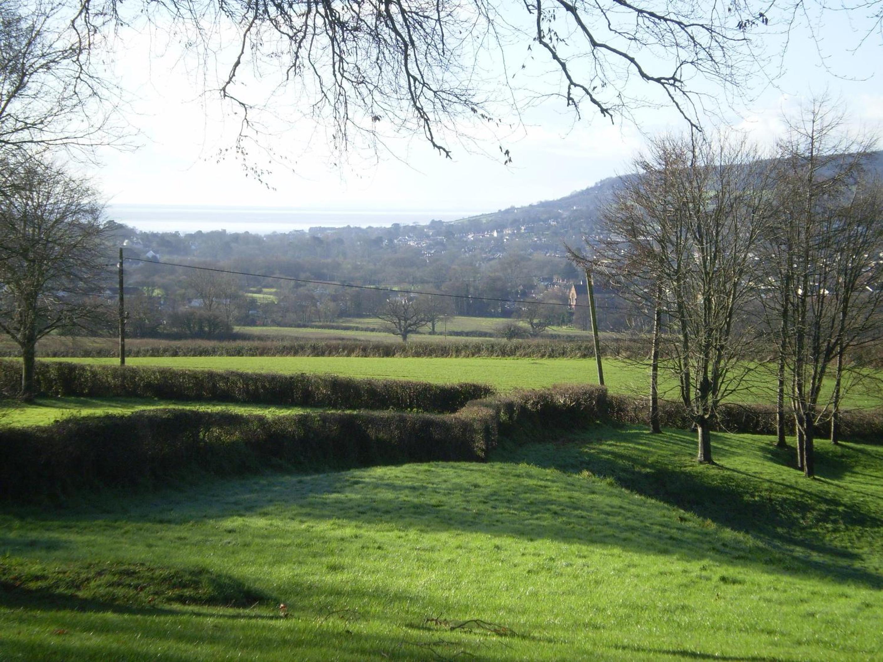 Buckley Farmhouse Bed and Breakfast