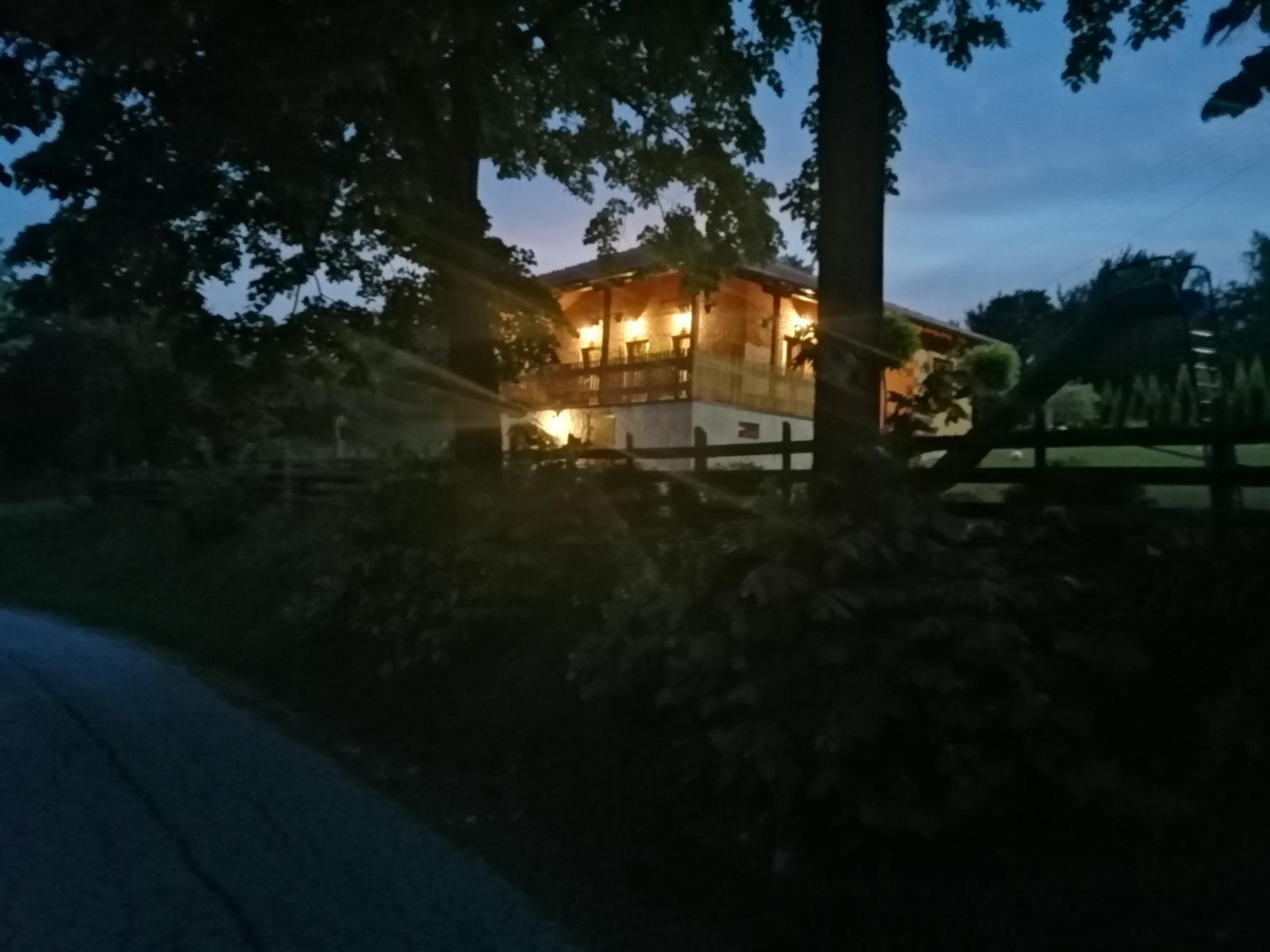 Photo 41