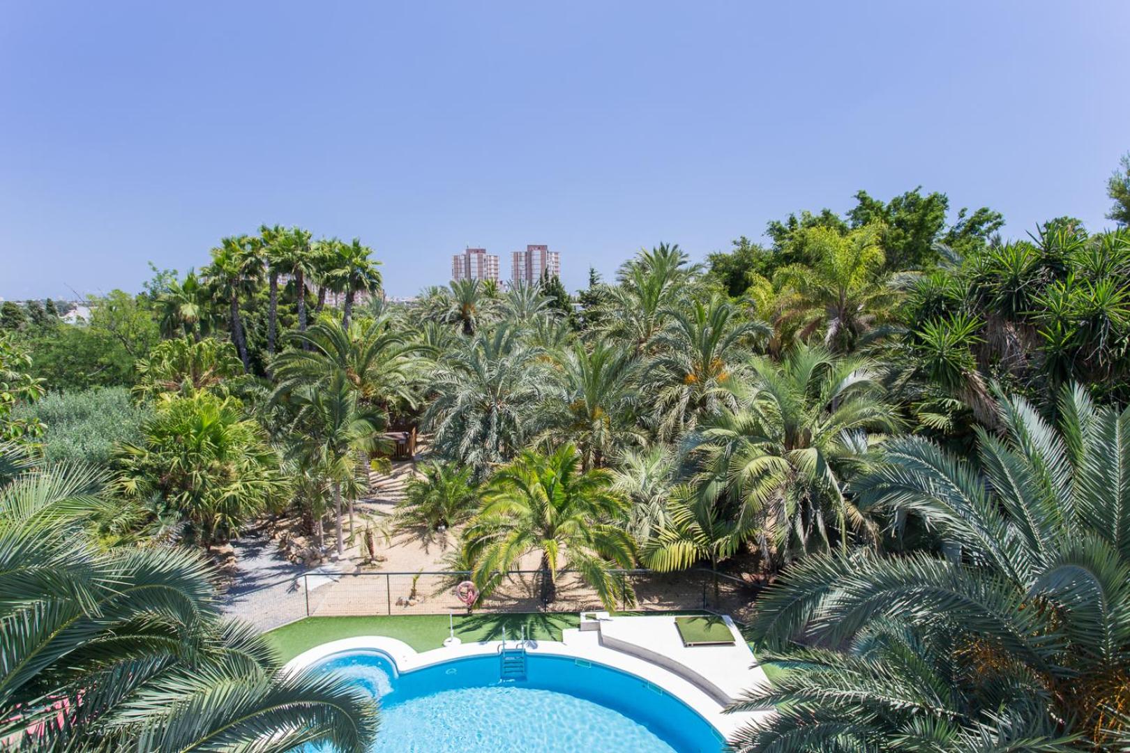 Apartamentos El Palmeral de Madaria