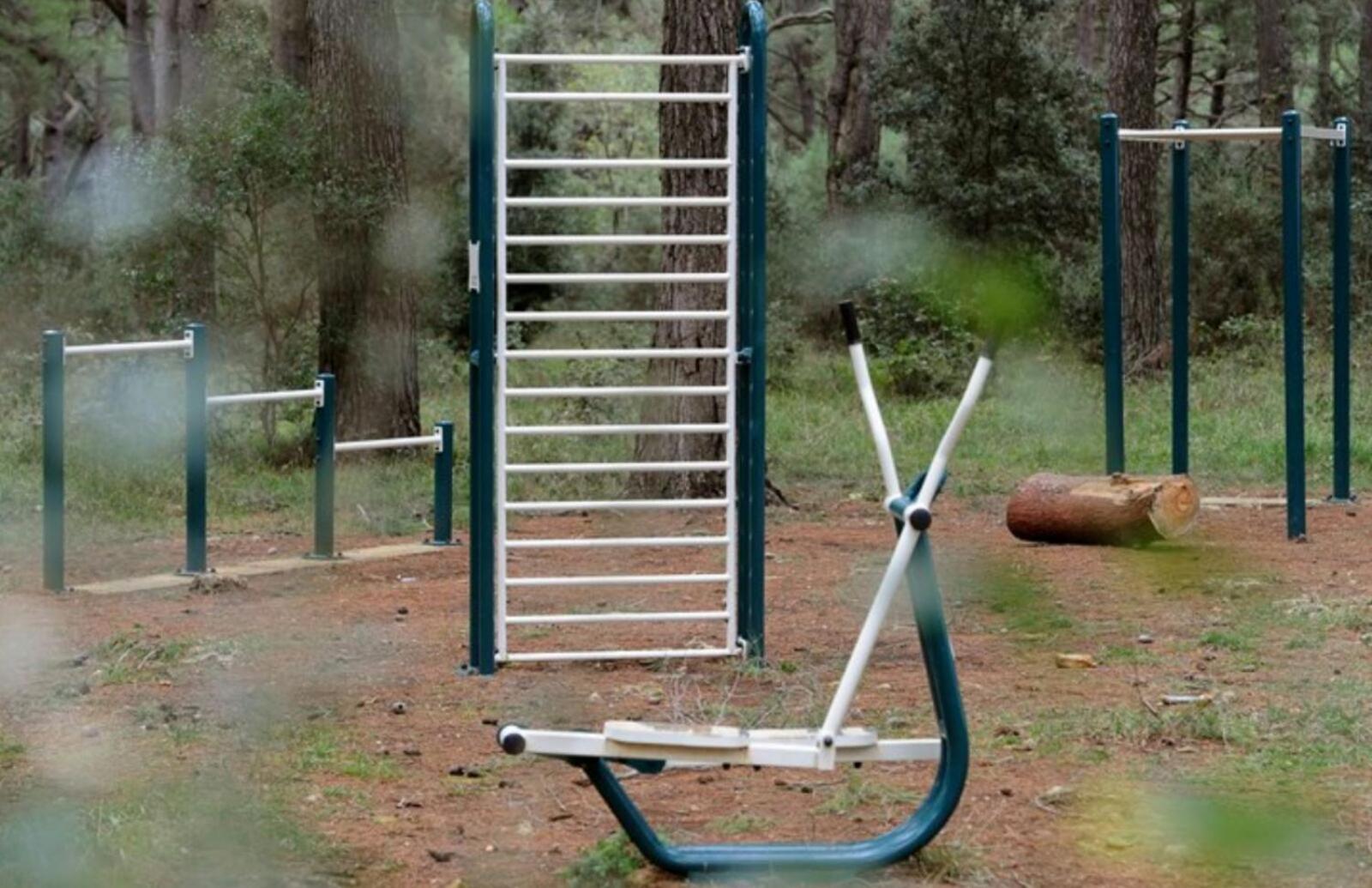Photo 19