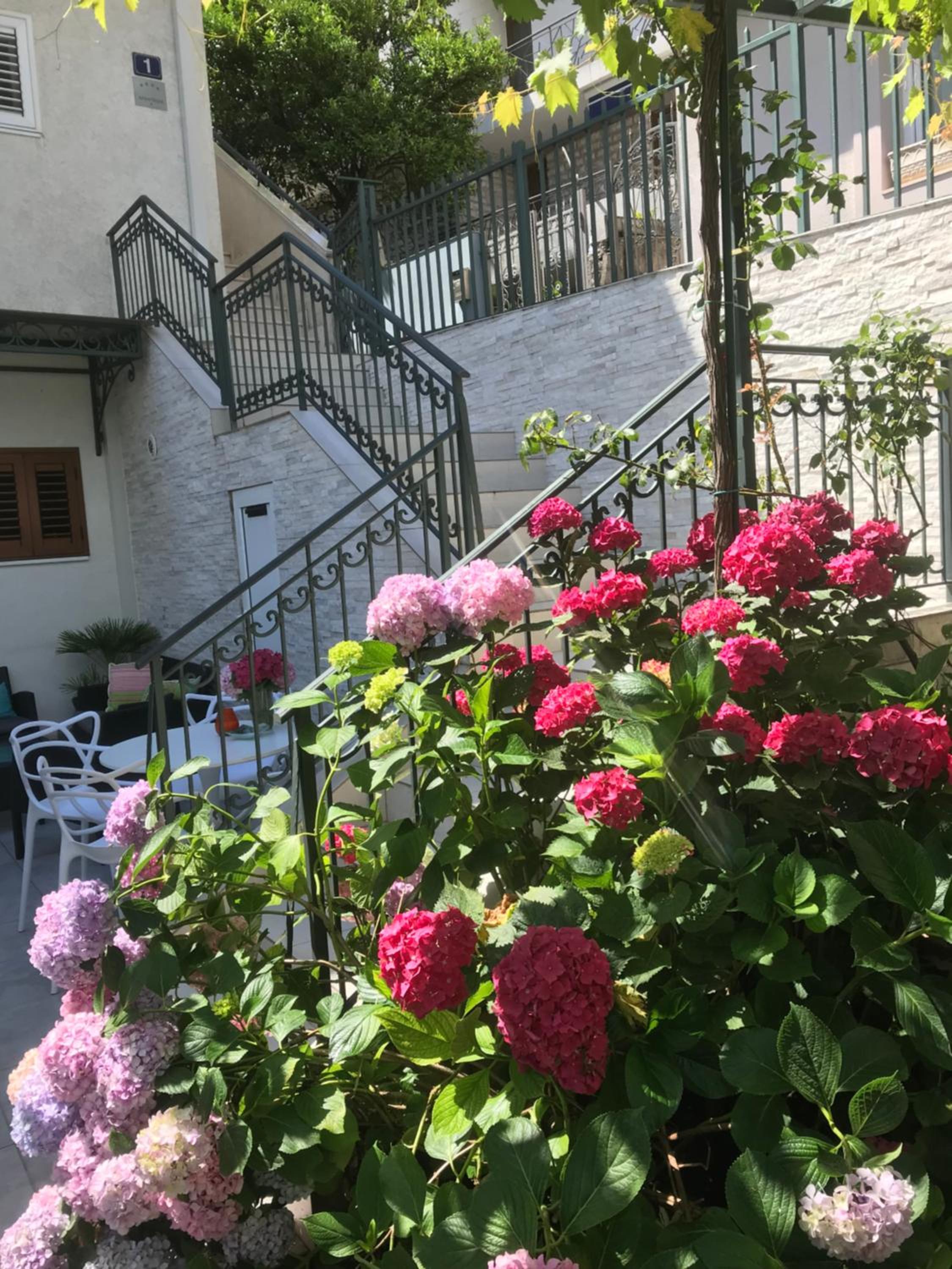 Apartments Miković