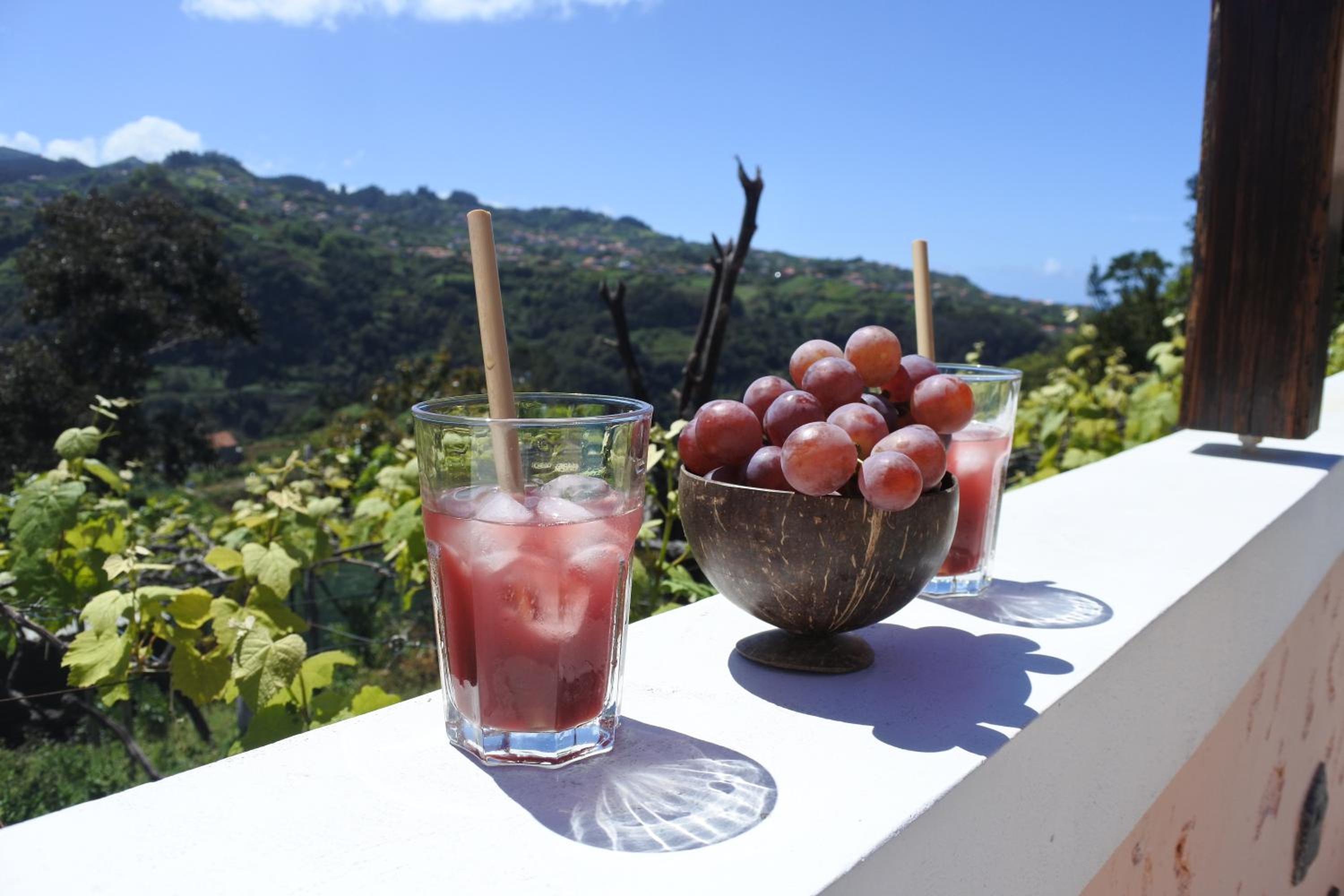 Quintinha do Álvaro - Holiday house