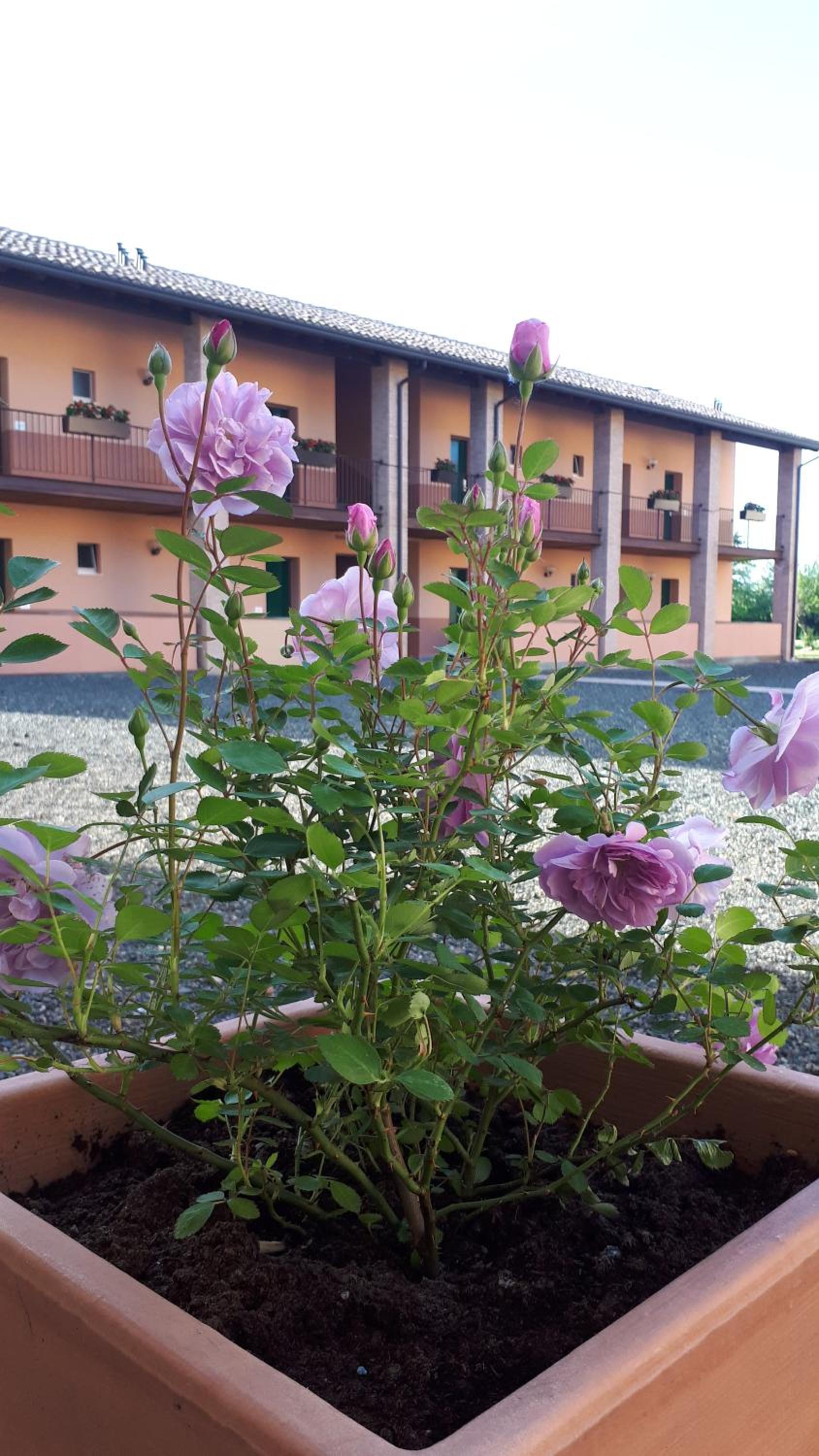 Villa Meli Lupi - Residenze Temporanee