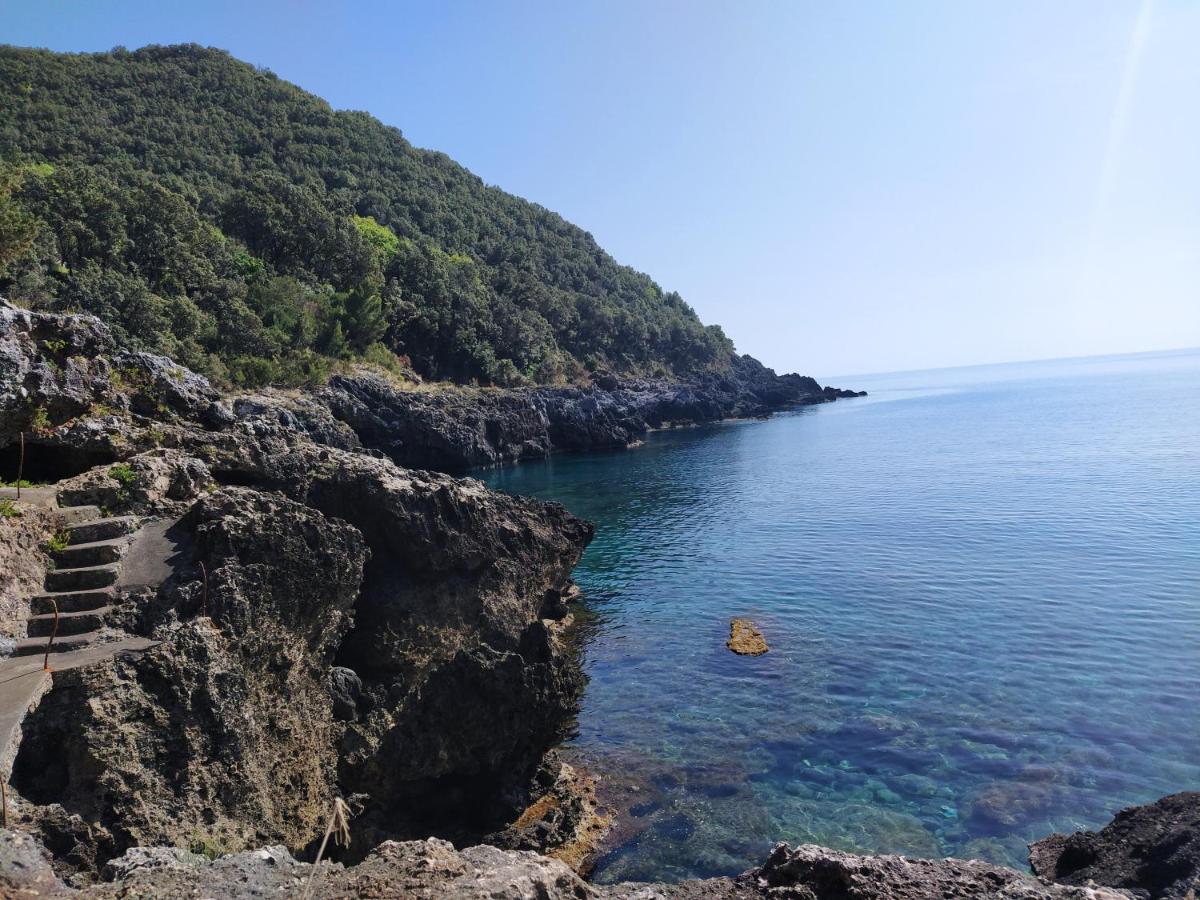 Judia Camere sul mare photo 5