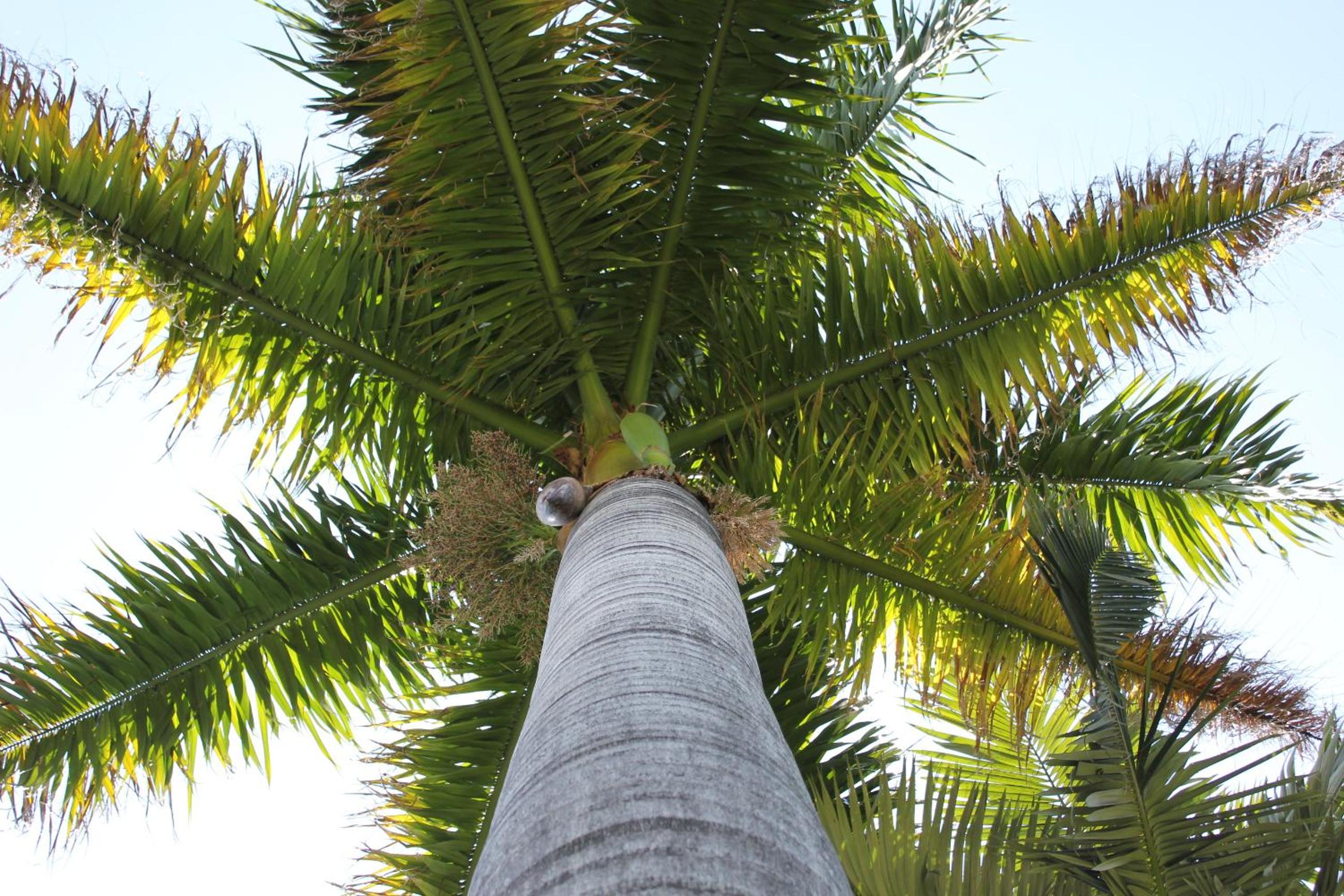 El Palmar Guesthouse