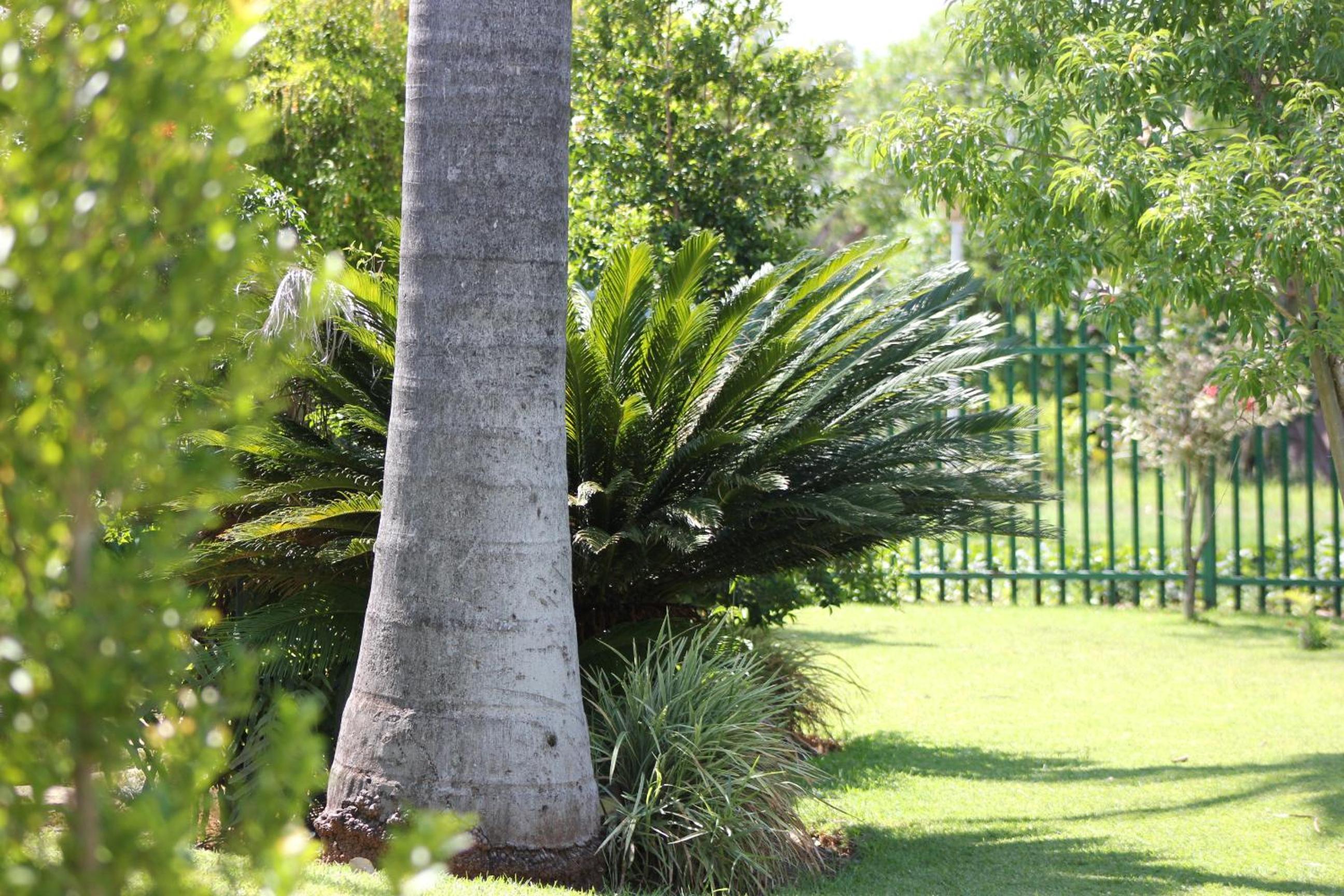 El Palmar Guesthouse