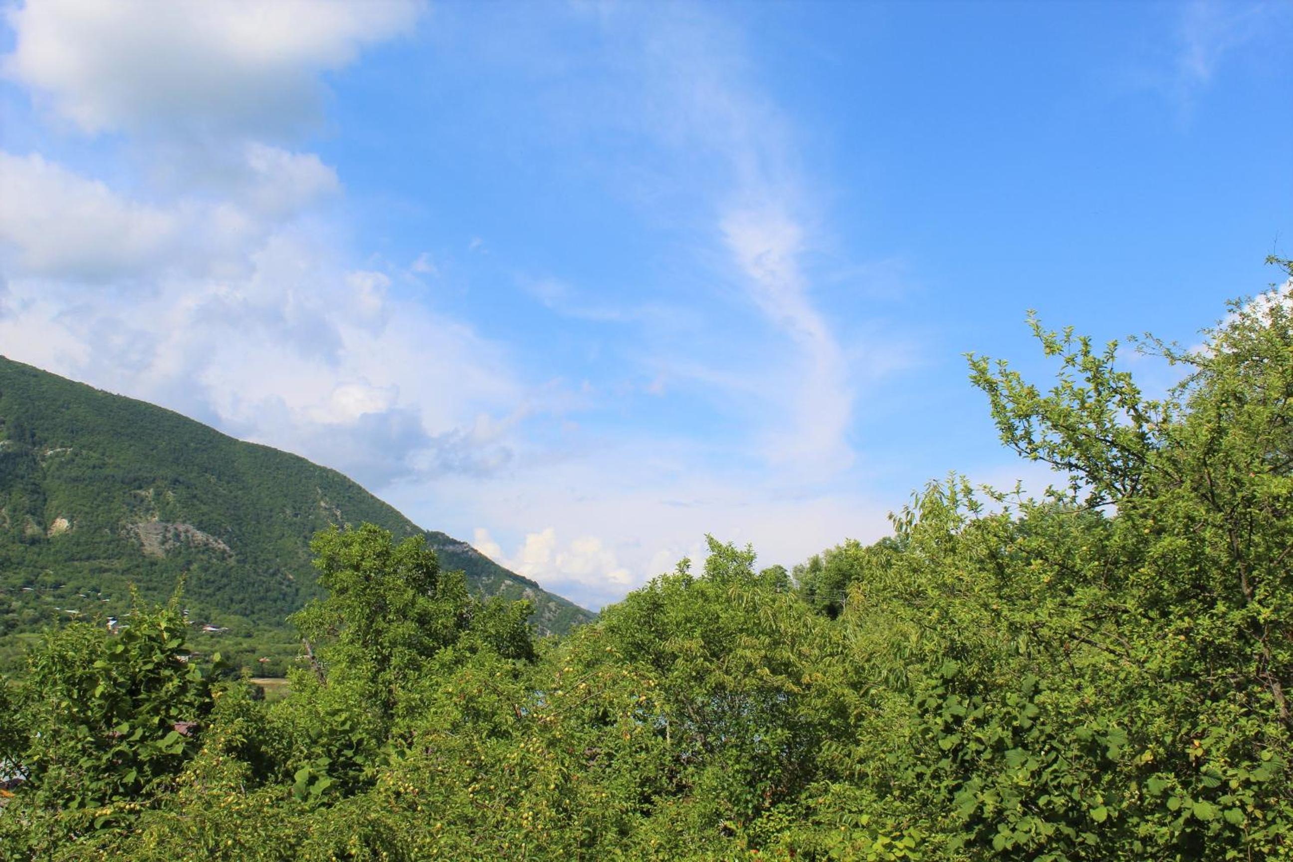 Guest house Racha view 4