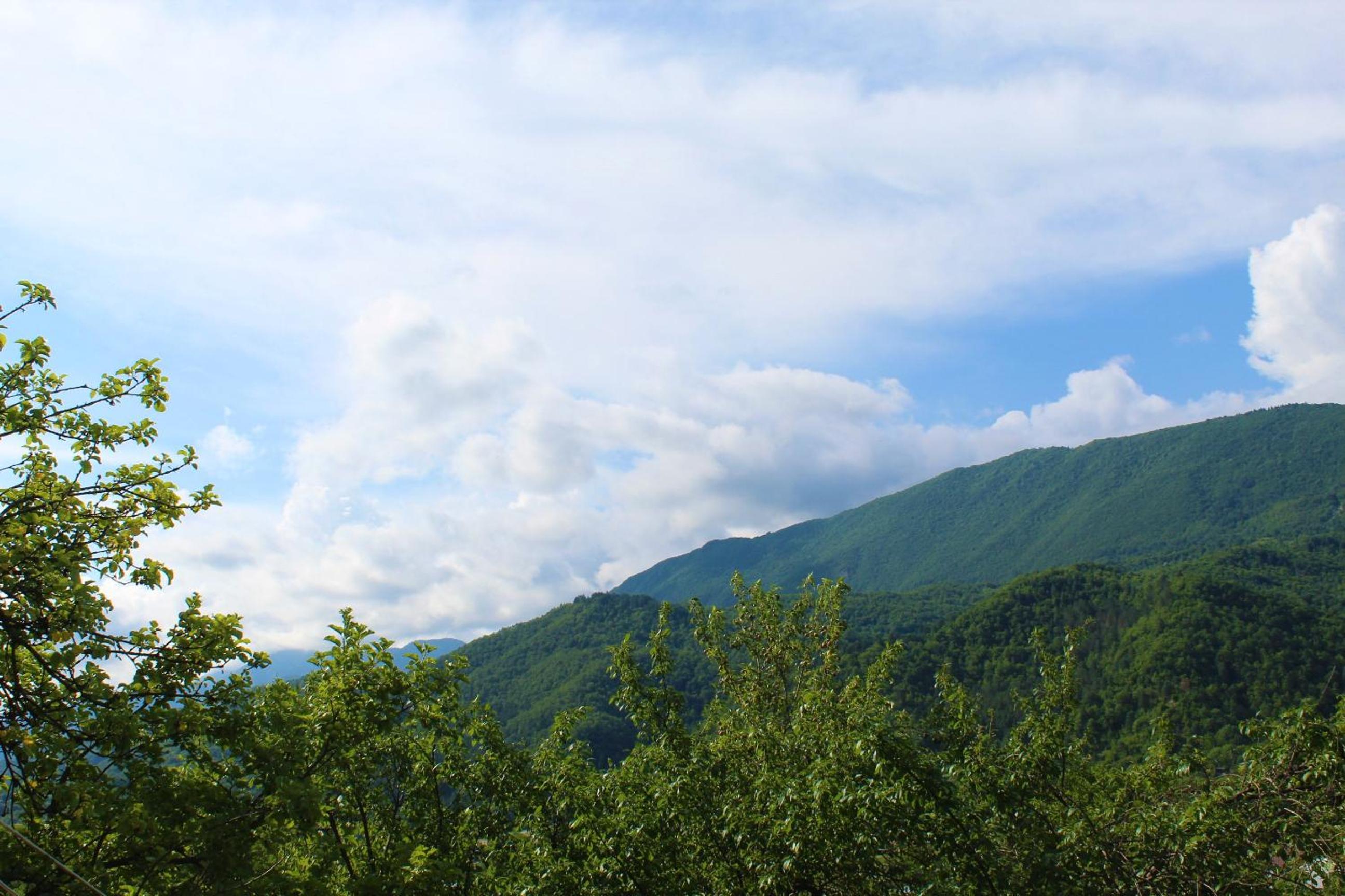 Guest house Racha view 3