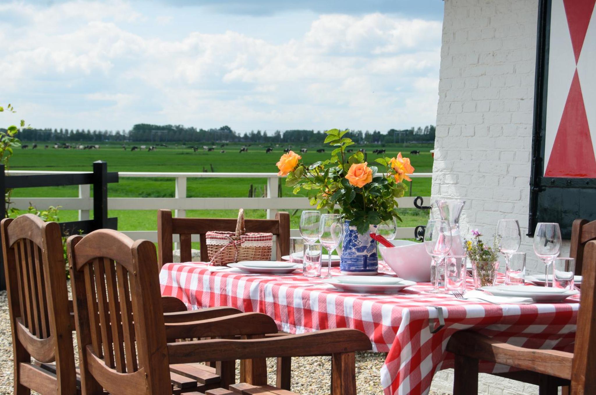 Mondriaanmolen, a real Windmill close to Amsterdam view 3