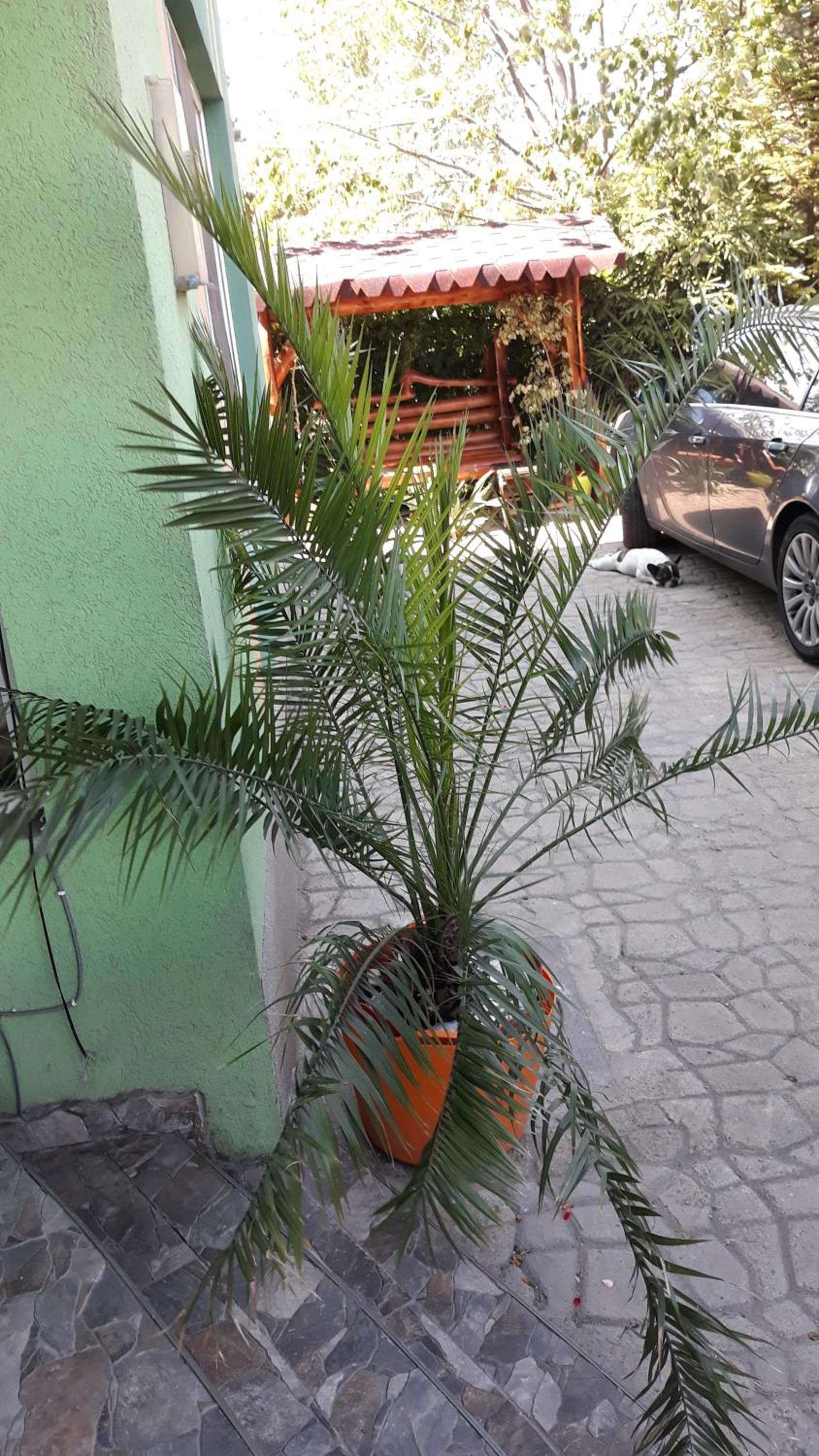 Photo 28