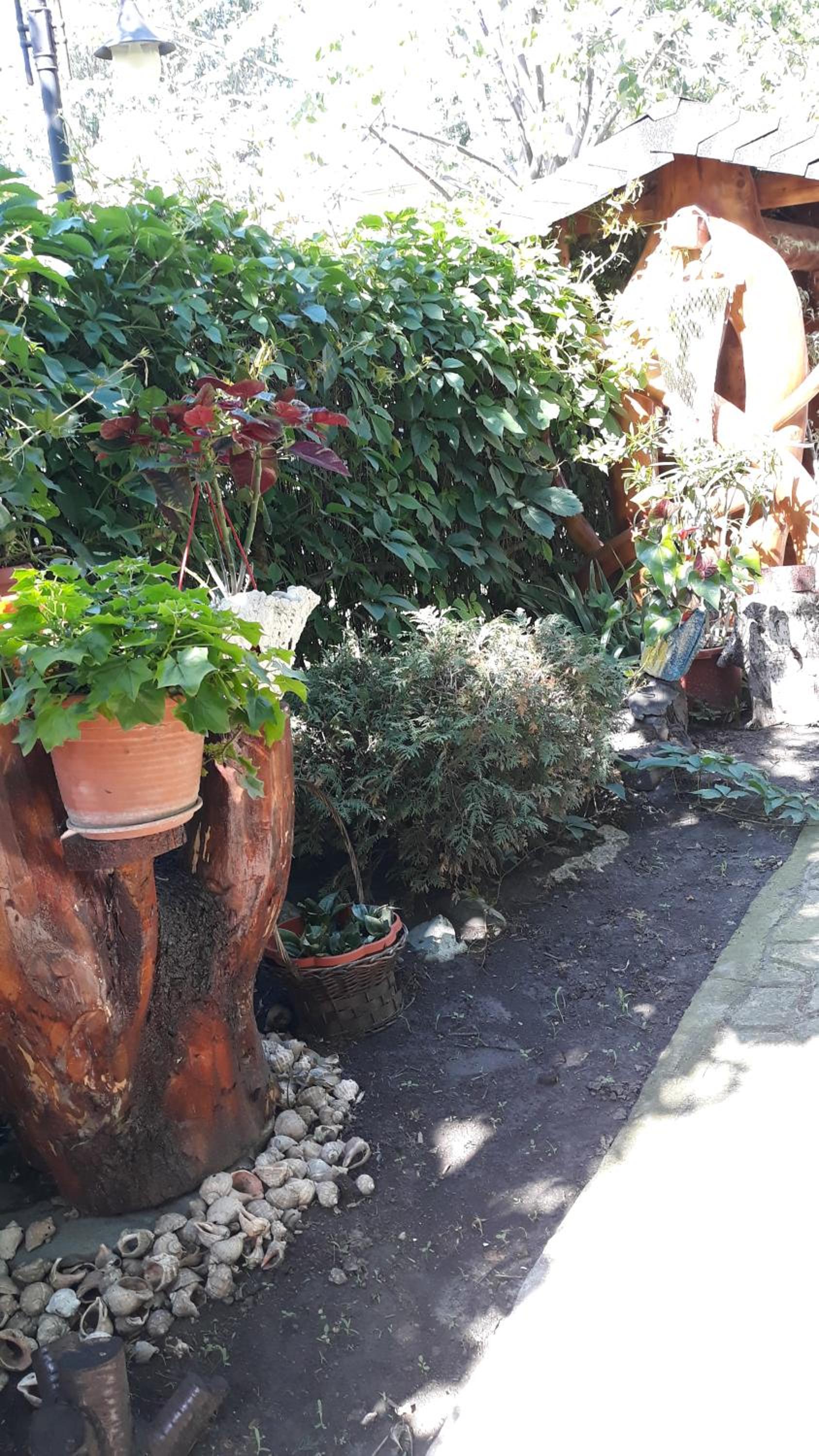 Photo 27