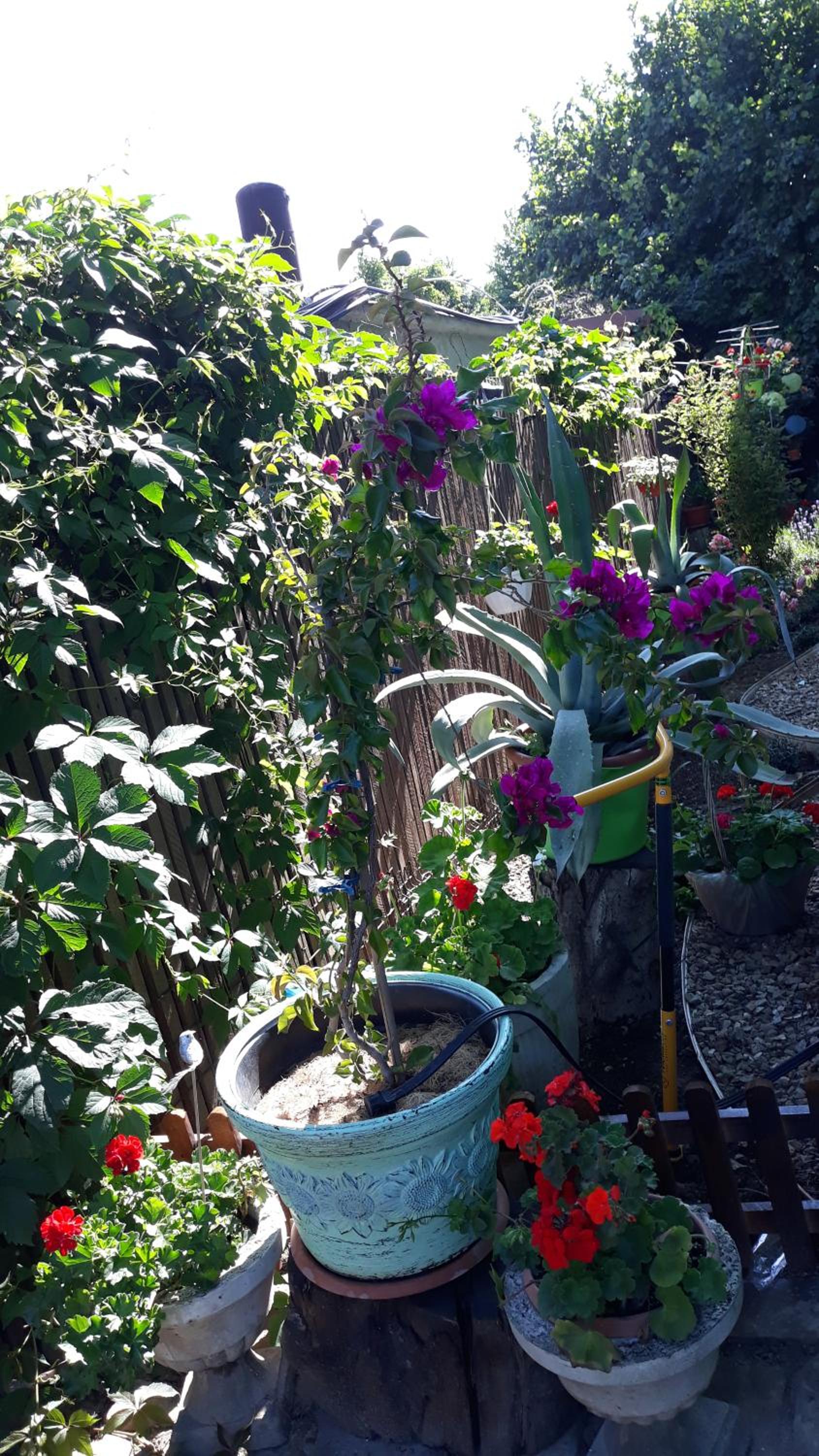 Photo 15