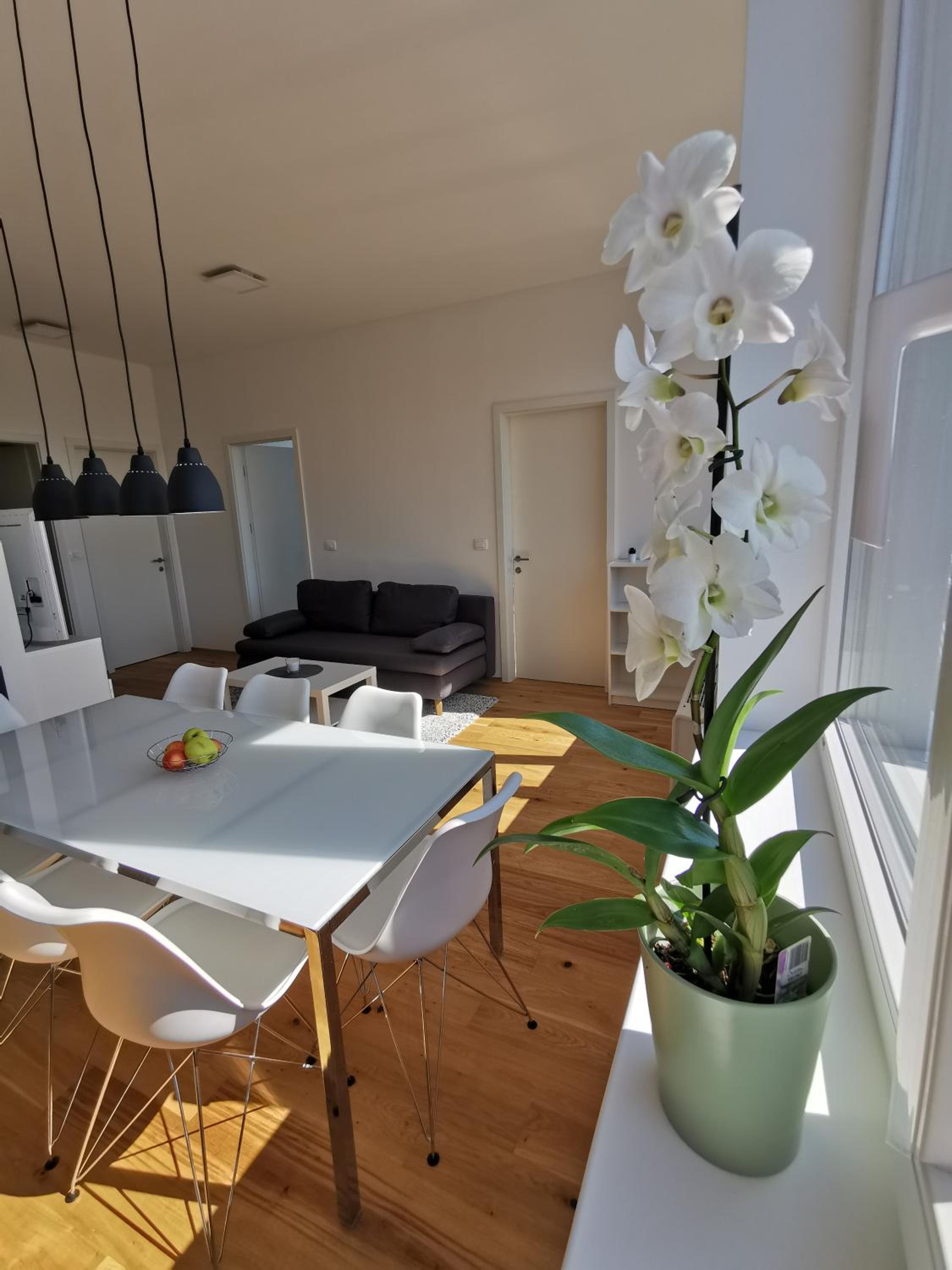 Apartmaji Egis Koper