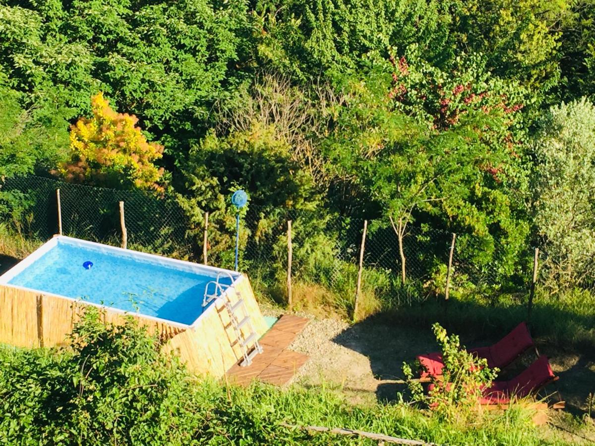 B&B Al Giardino Dei Mandorli view 5