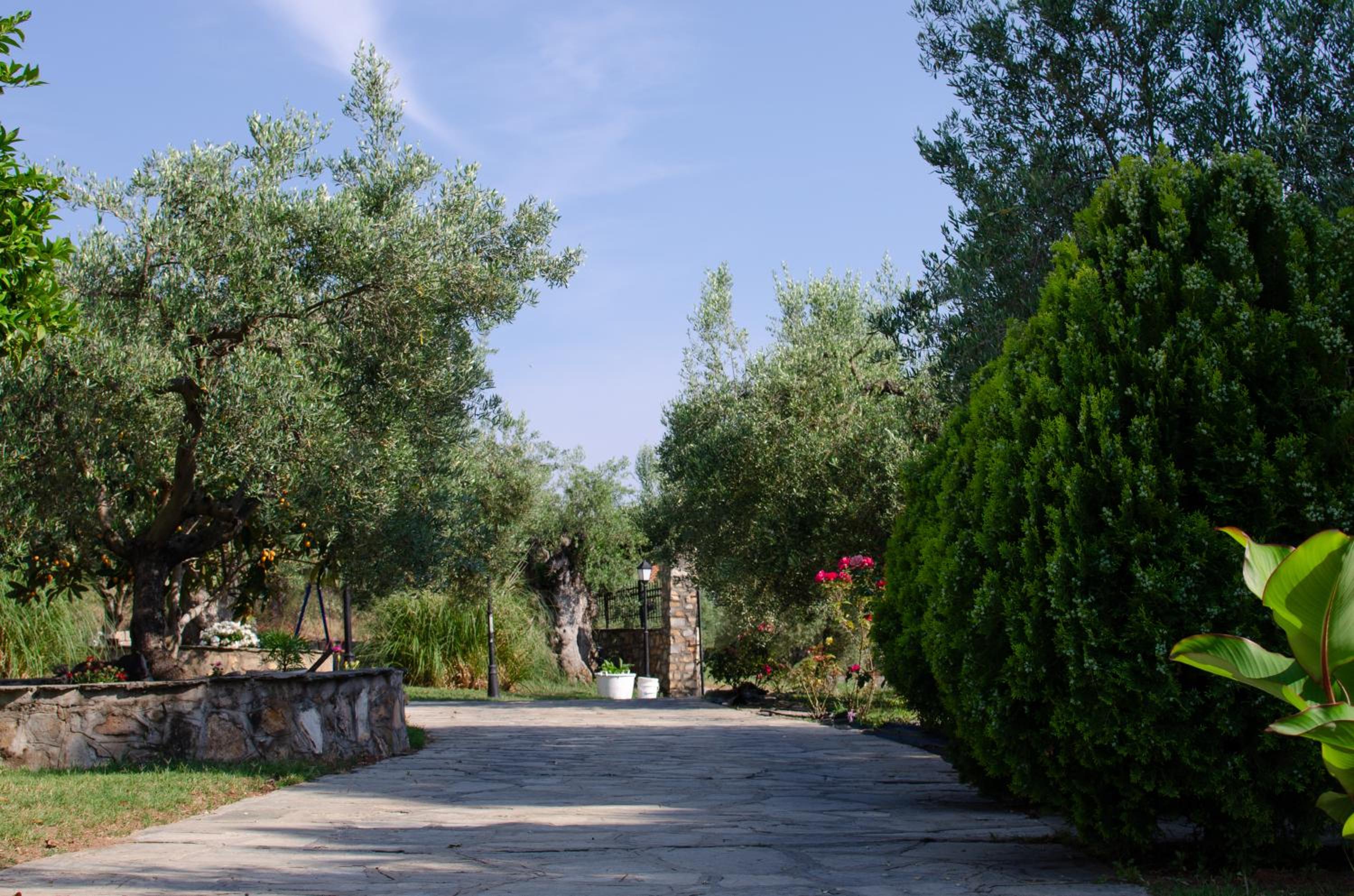 Photo 20