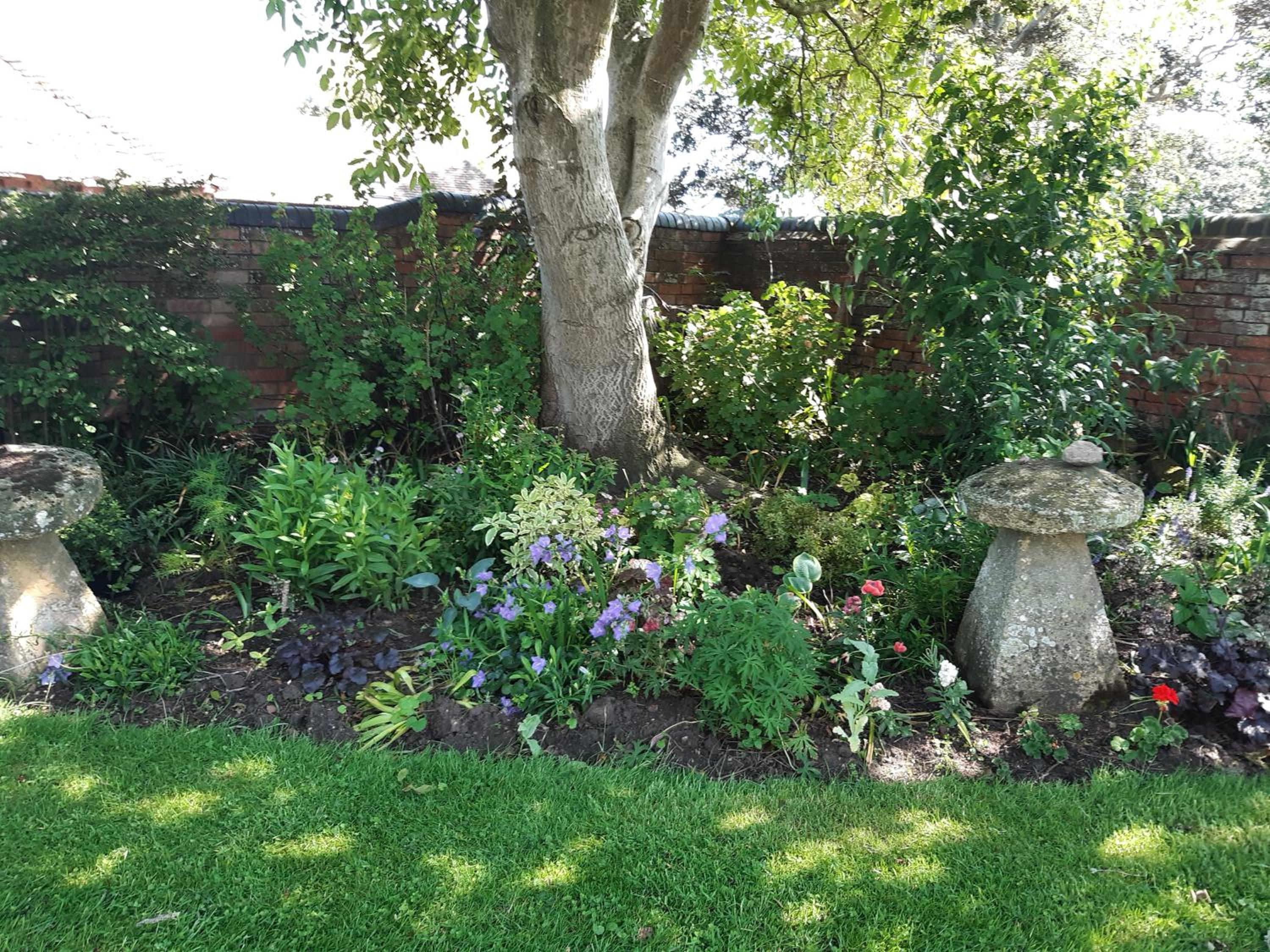 Photo 6