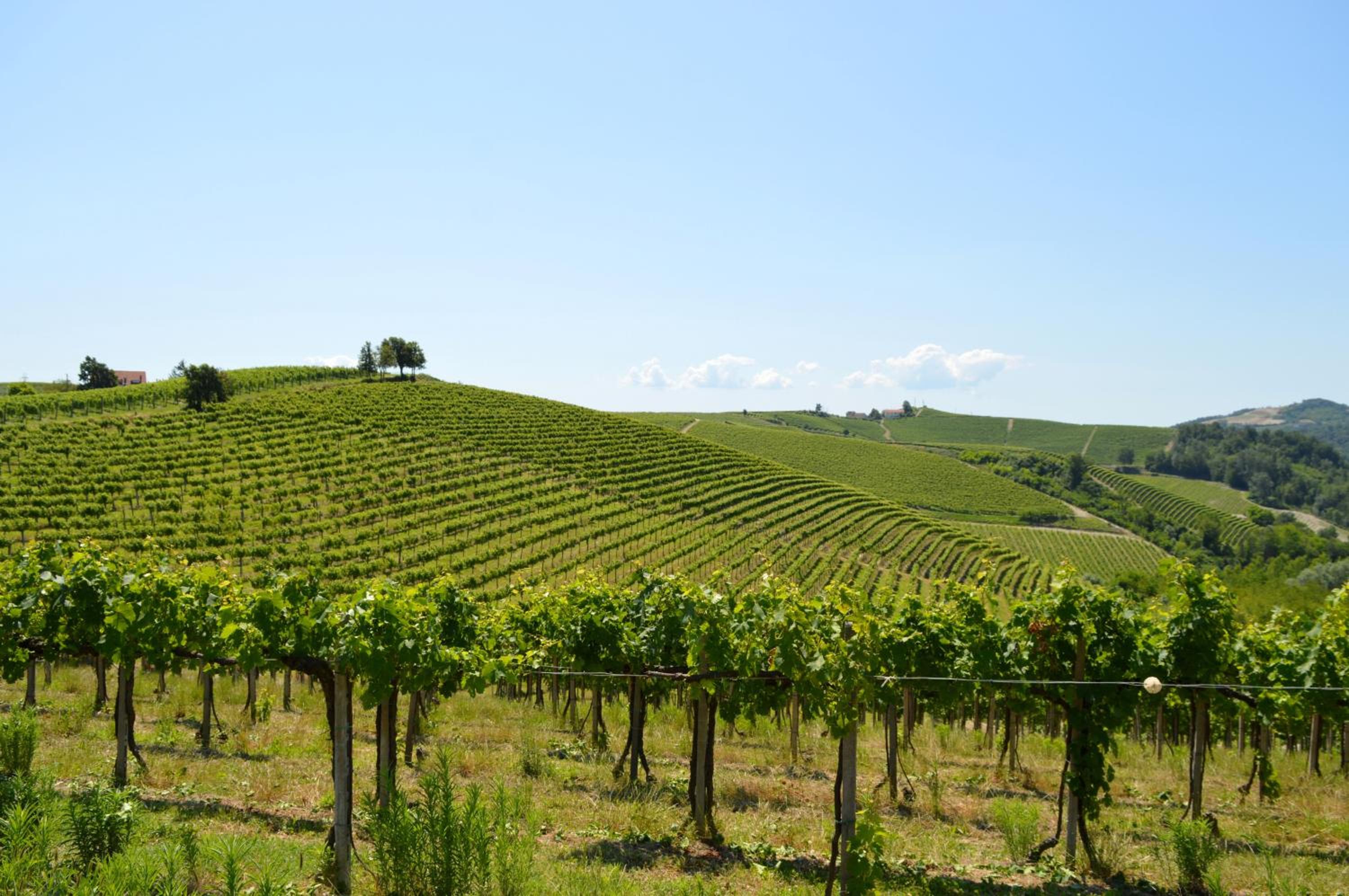 Bed & Tours Dimora di campagna