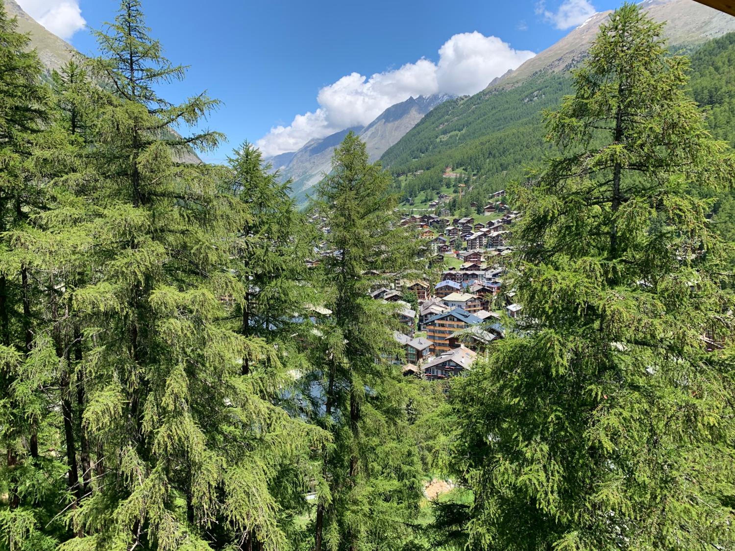 Appartements Zermatt Paradies