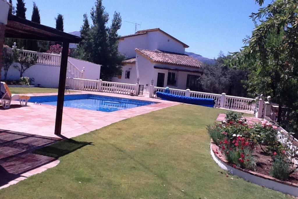 Finca Los Abetos view 4