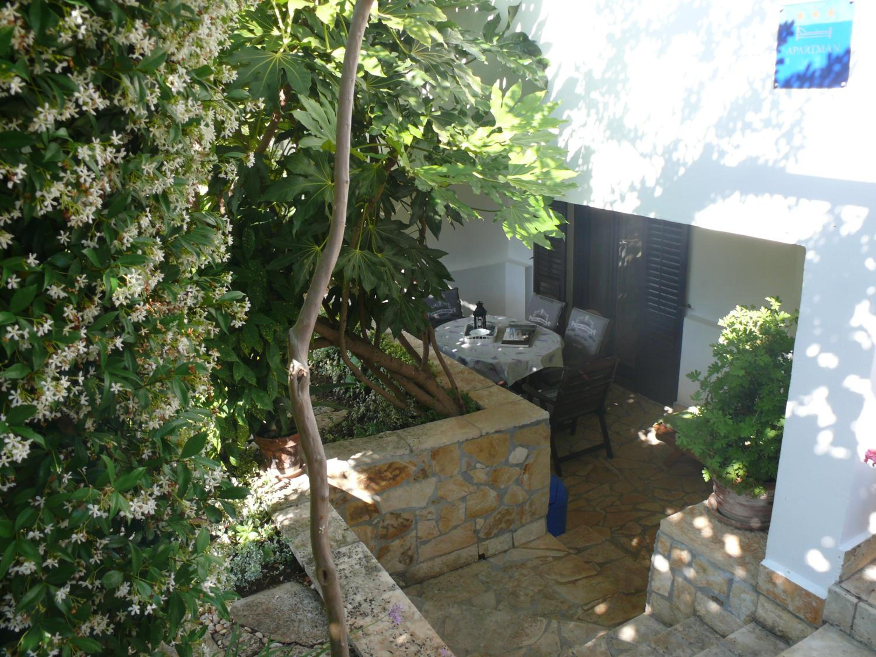 Photo 30