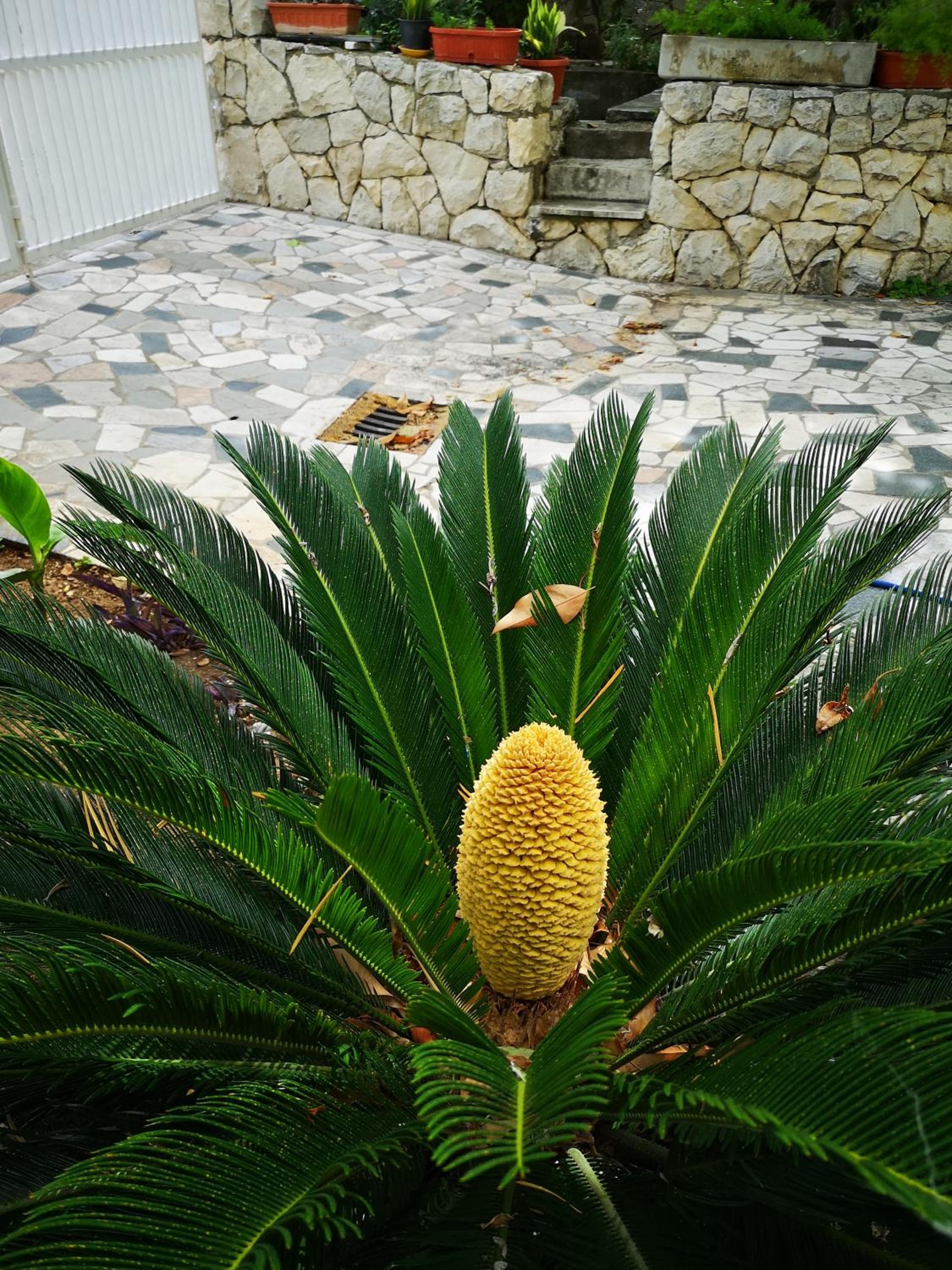 Photo 12