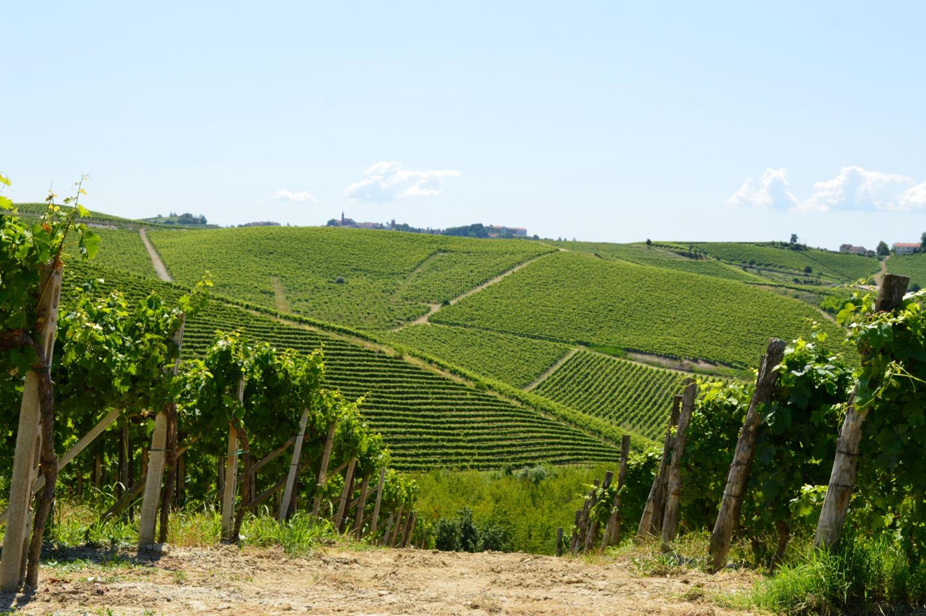 Bed & Tours Dimora di campagna