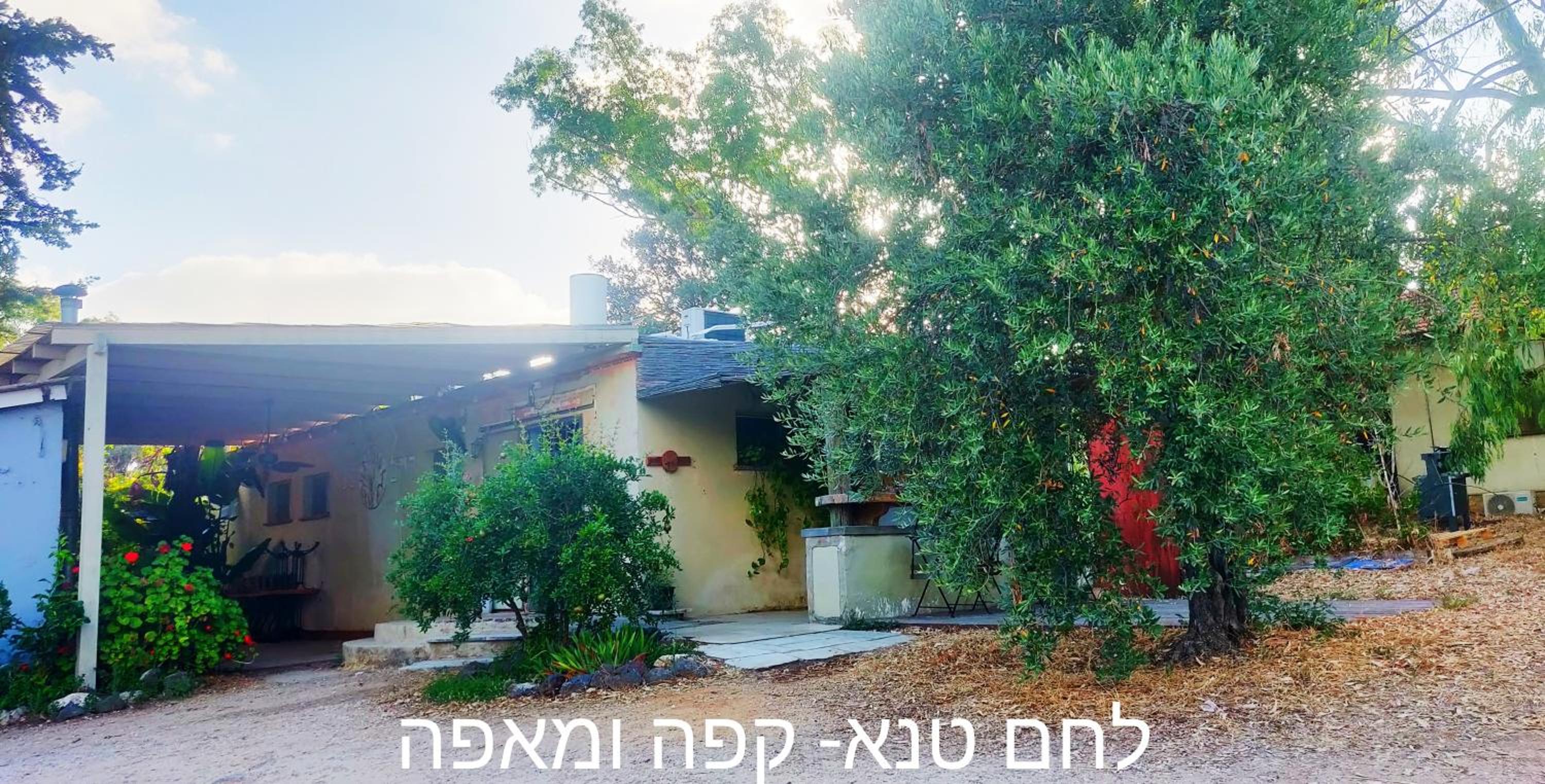 Photo 35