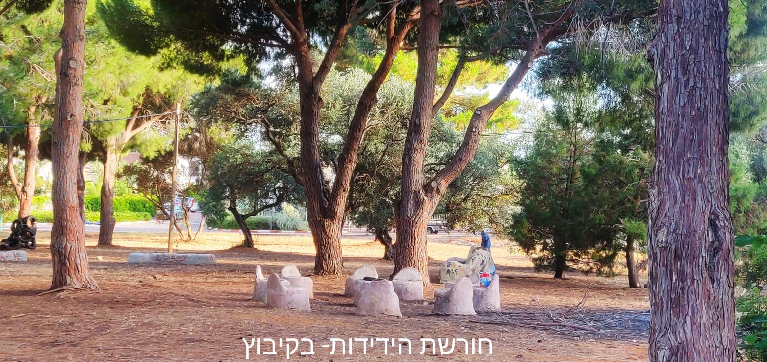 Photo 36