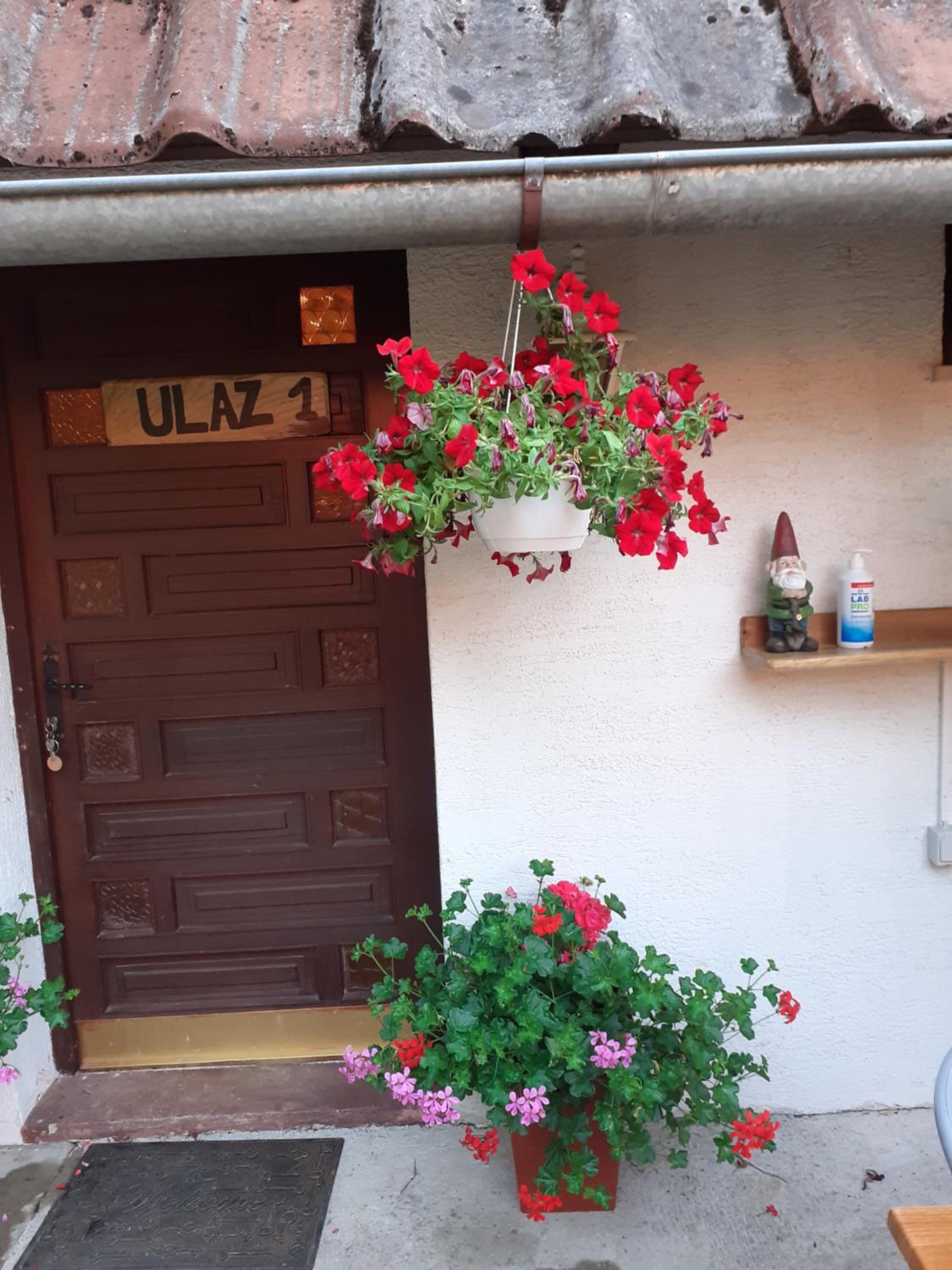 Photo 31
