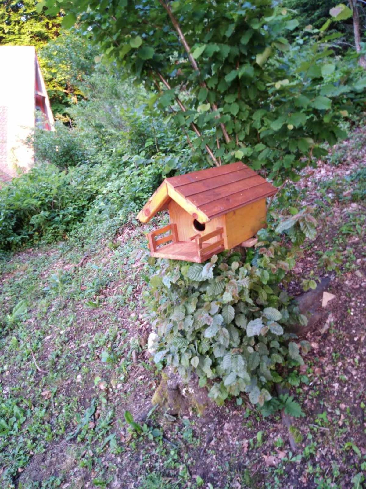 Photo 25