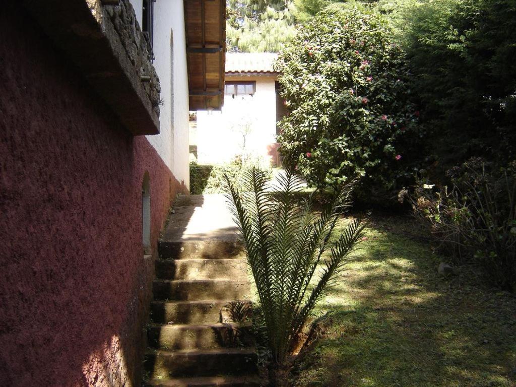 Casa das dálias