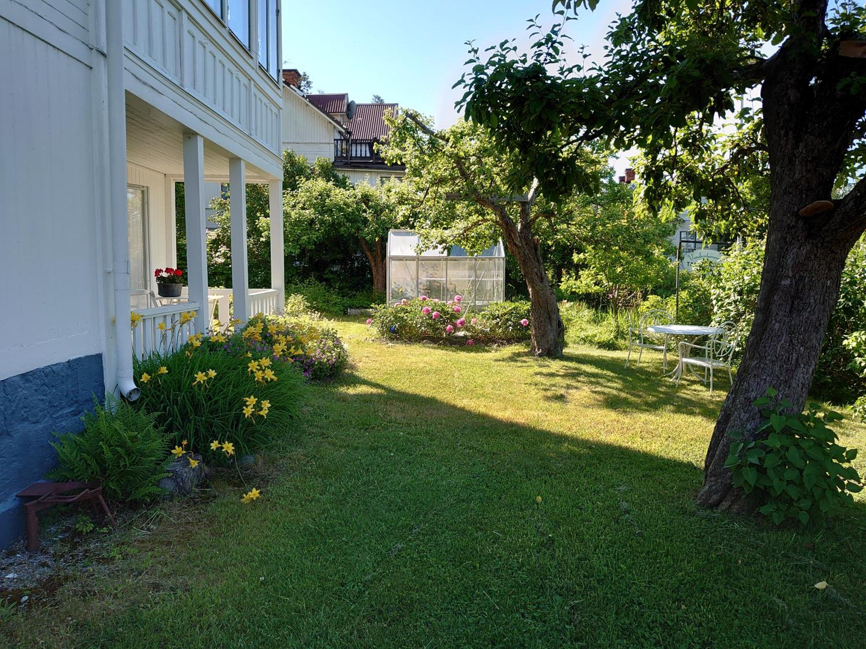 Photo 8