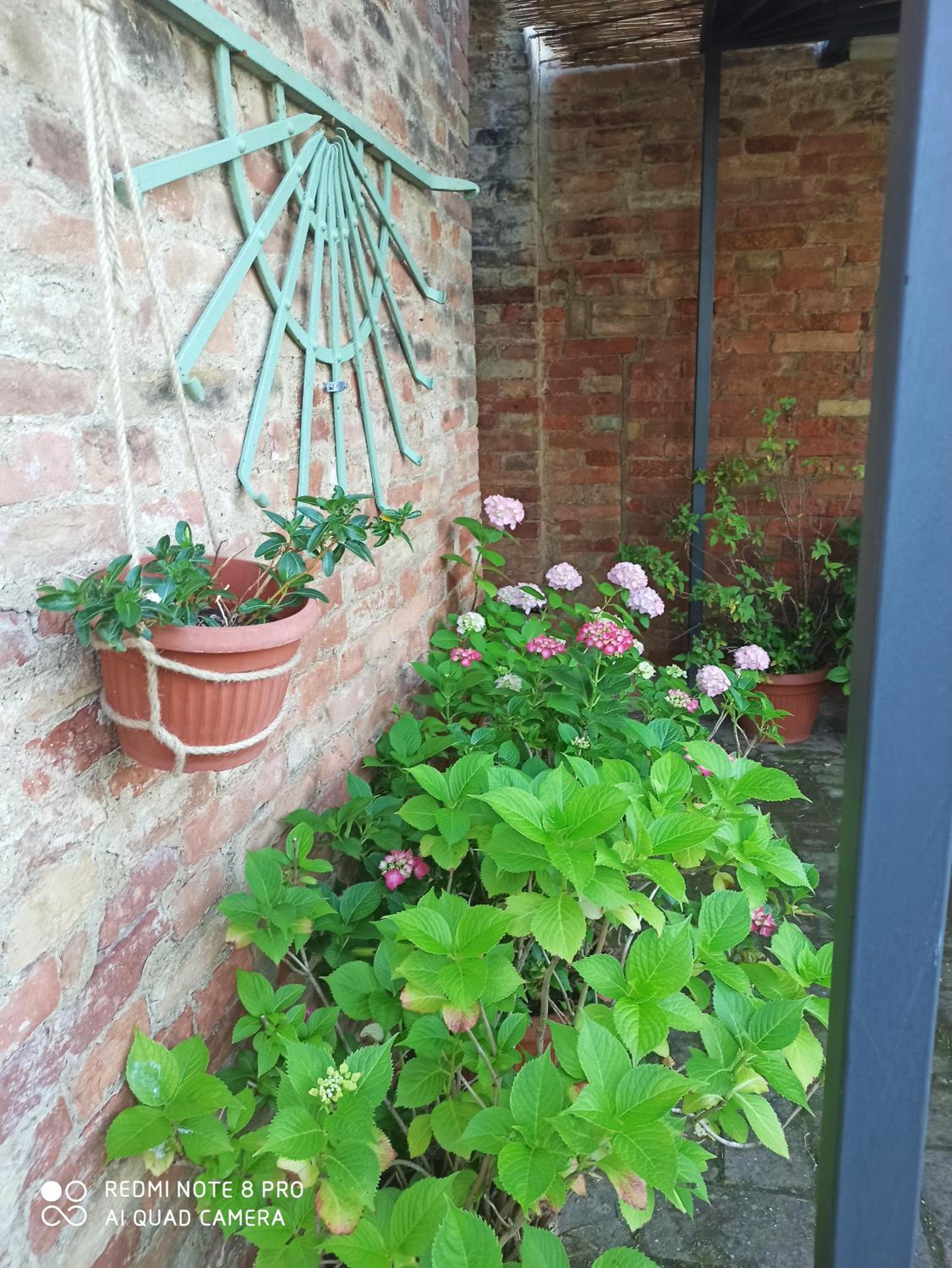 Podere Cartaio Bio Farm, private pool, AirC
