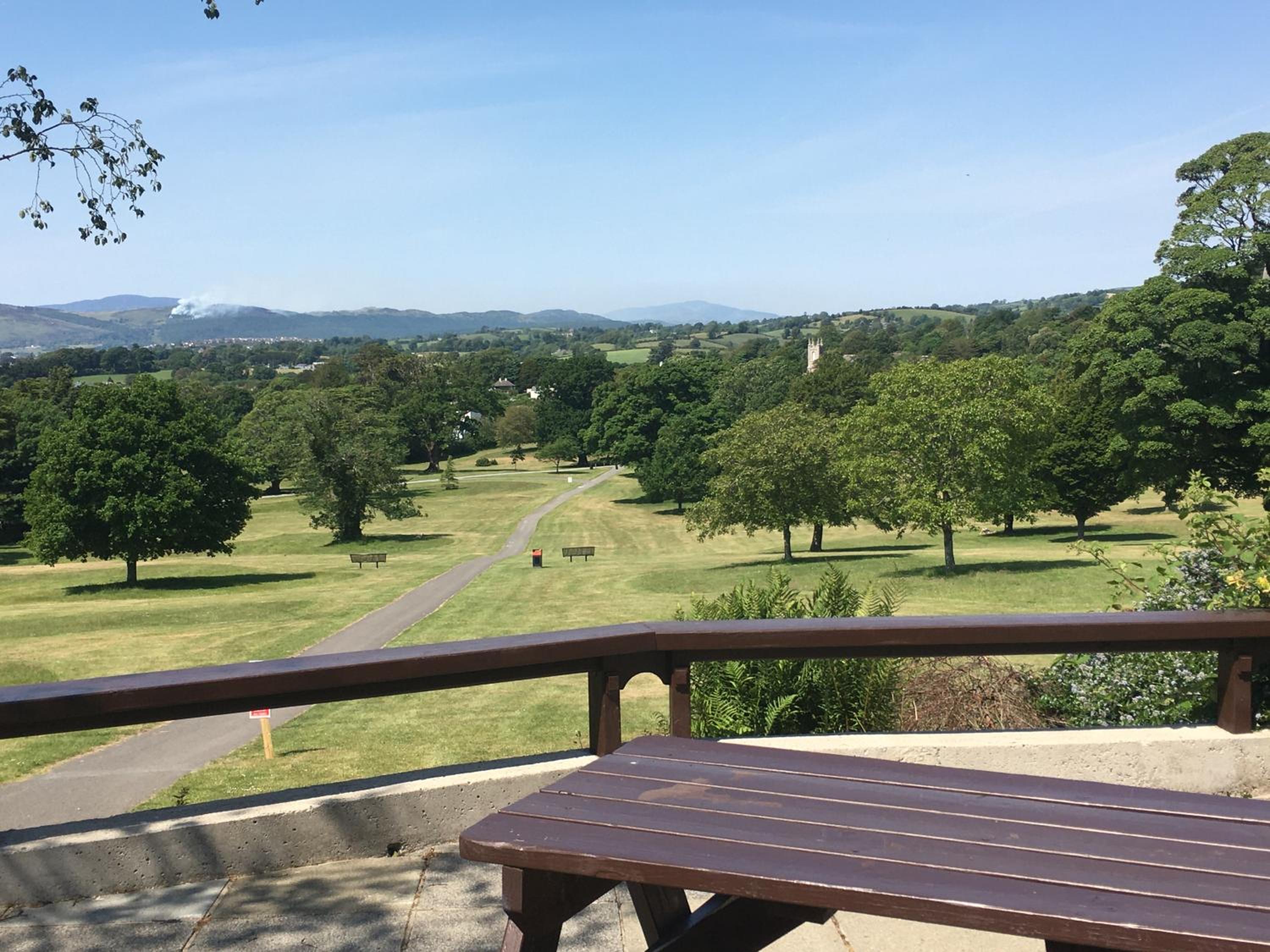 Photo 51