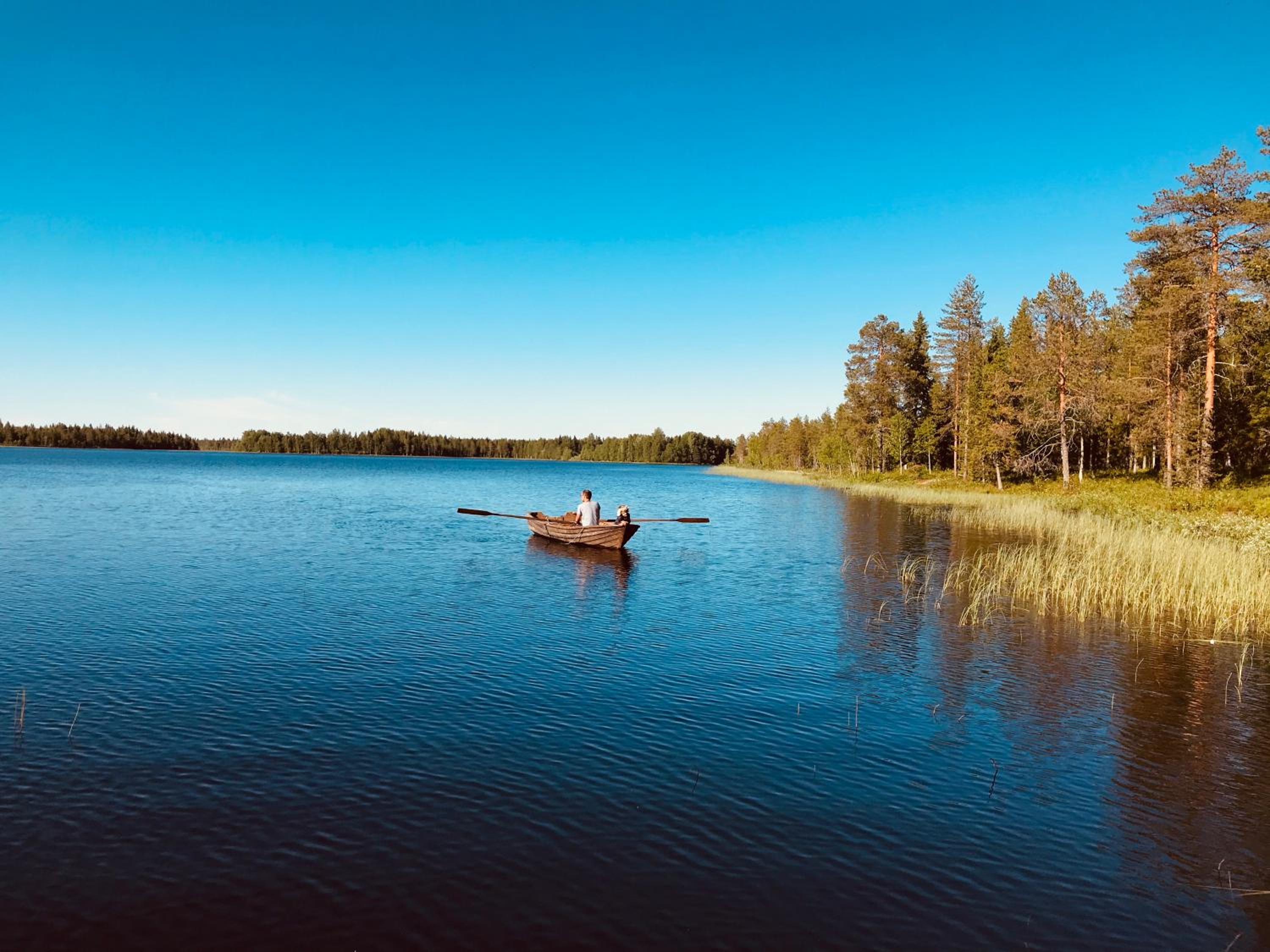 Metsä Kolo