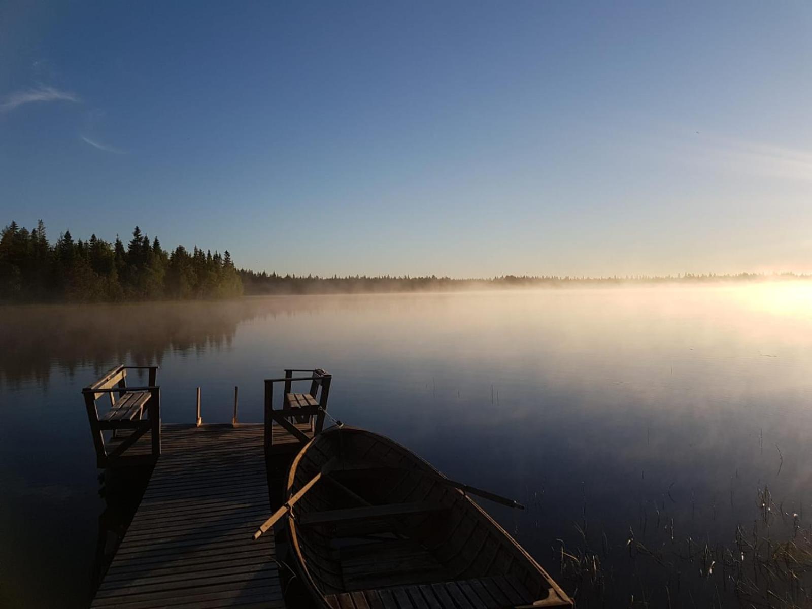 Metsä Kolo